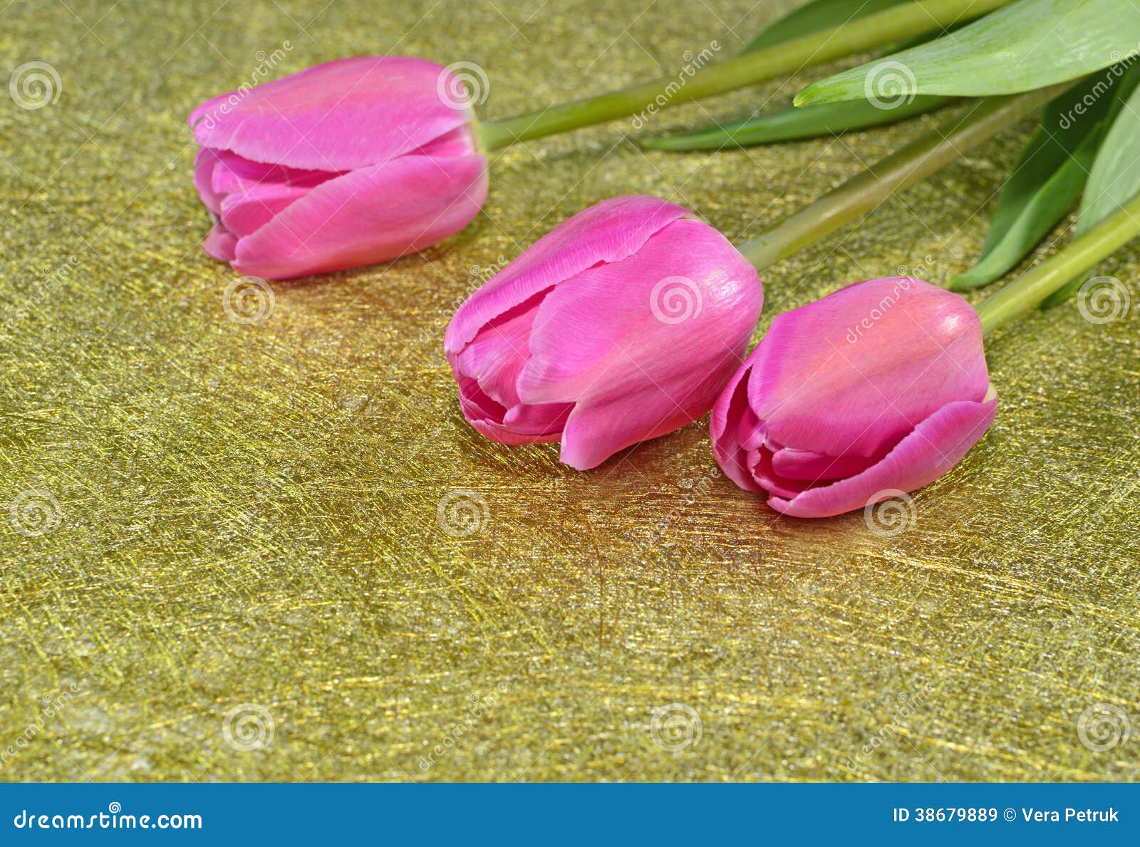 Pink Tulips on Golden Background Stock Image - Image of greeting ...