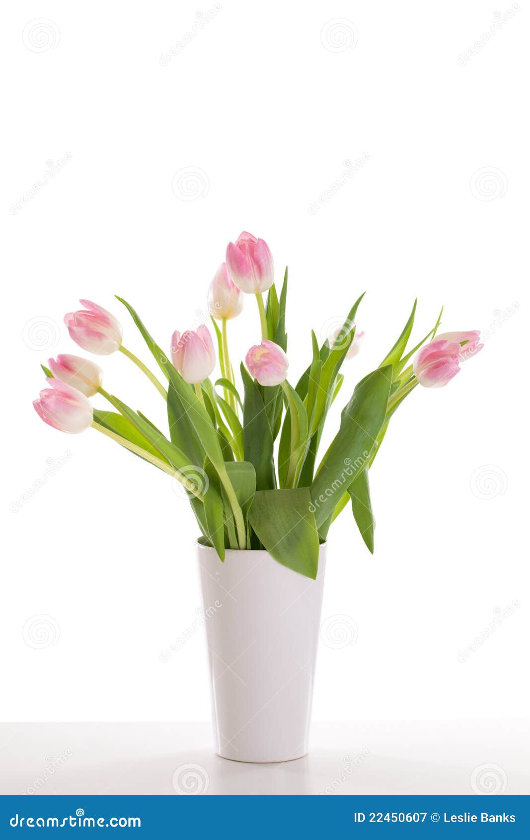 Pink tulips in a vase stock image. Image of table, arrangement 22450607