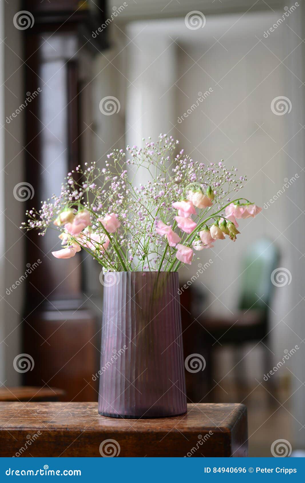 Pink vase stock photo. Image of translucent, room, living 84940696