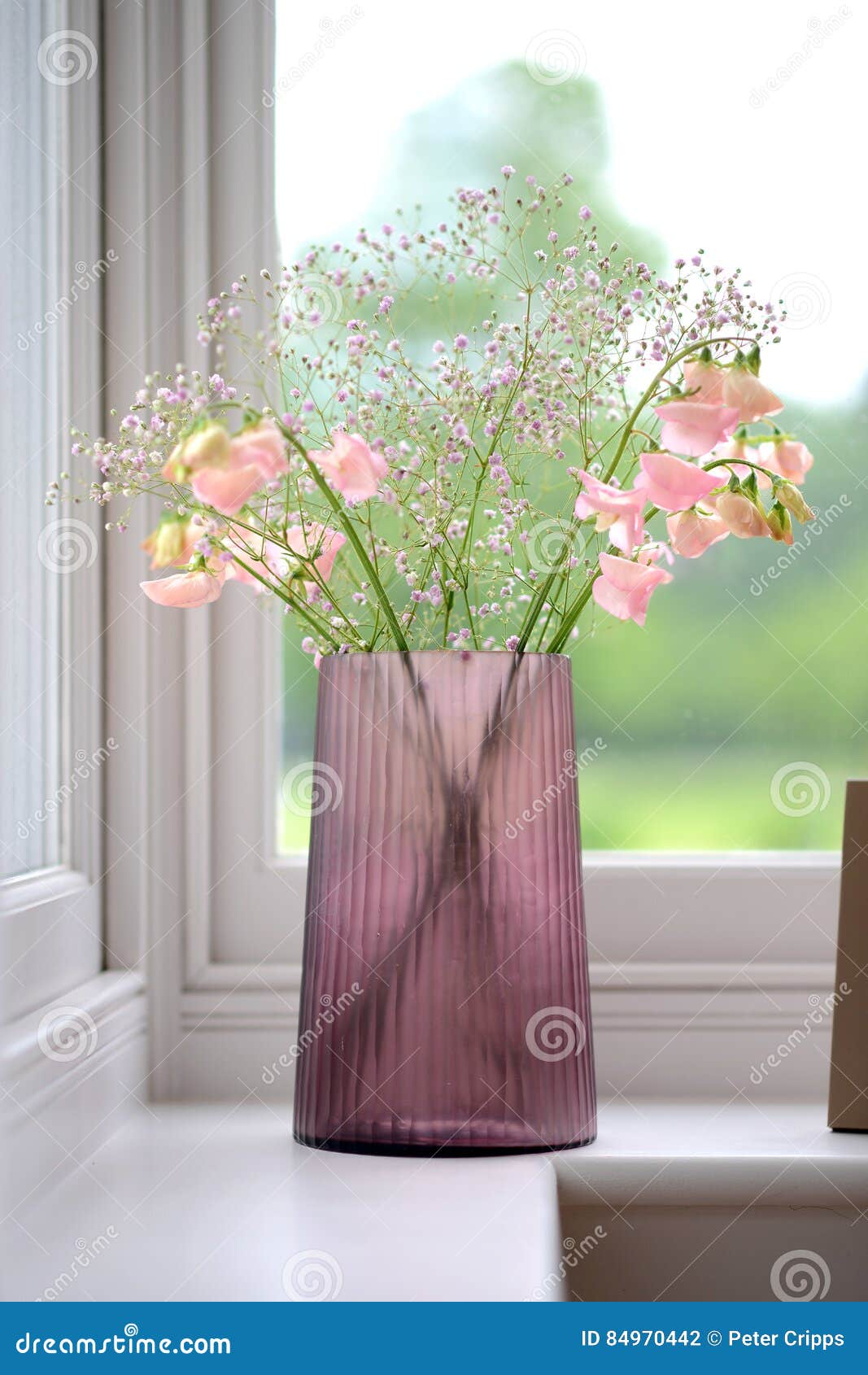 Pink vase stock photo. Image of luxury, life, living 84970442