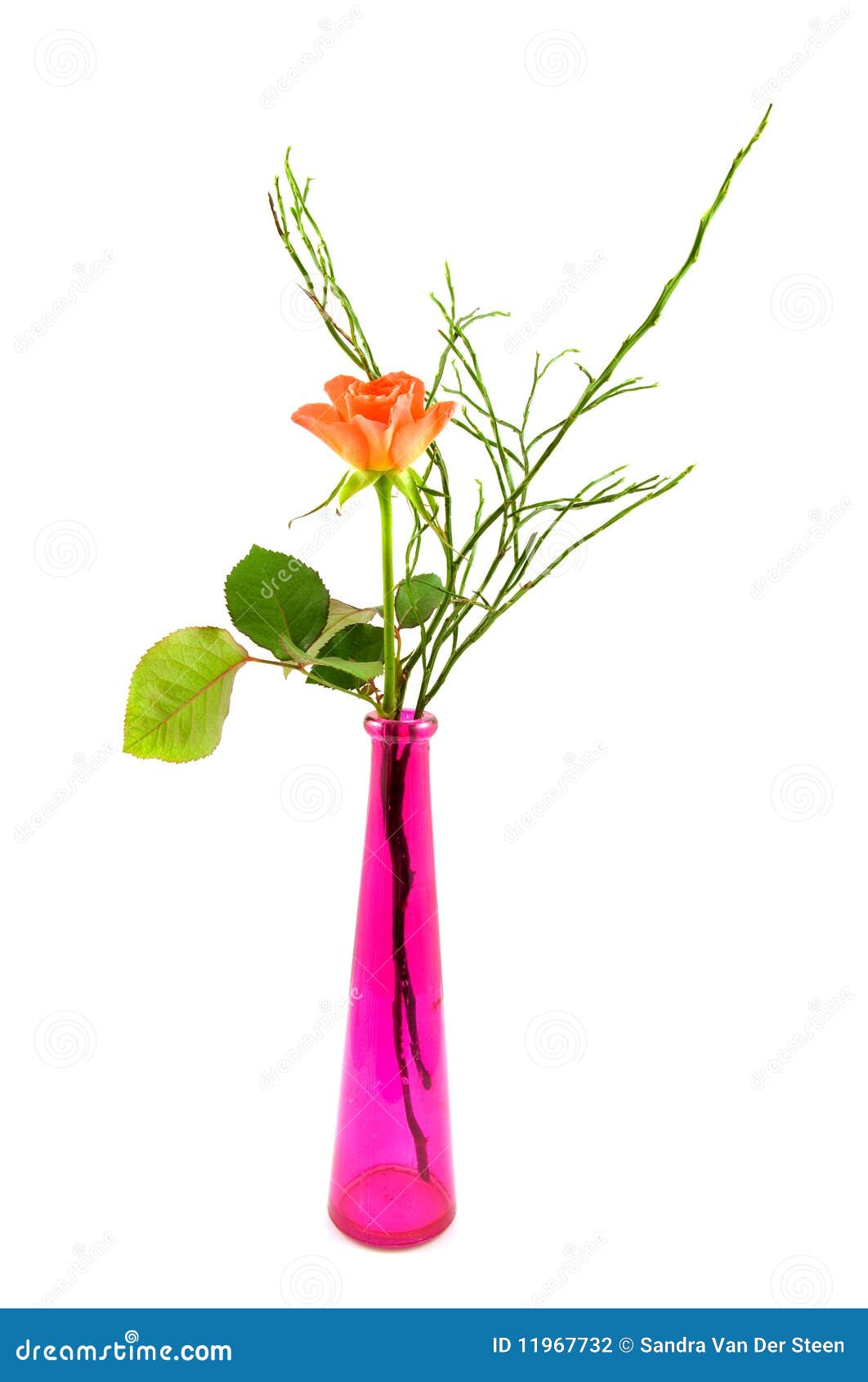 Pink vase with orange rose stock photo. Image of nature 11967732