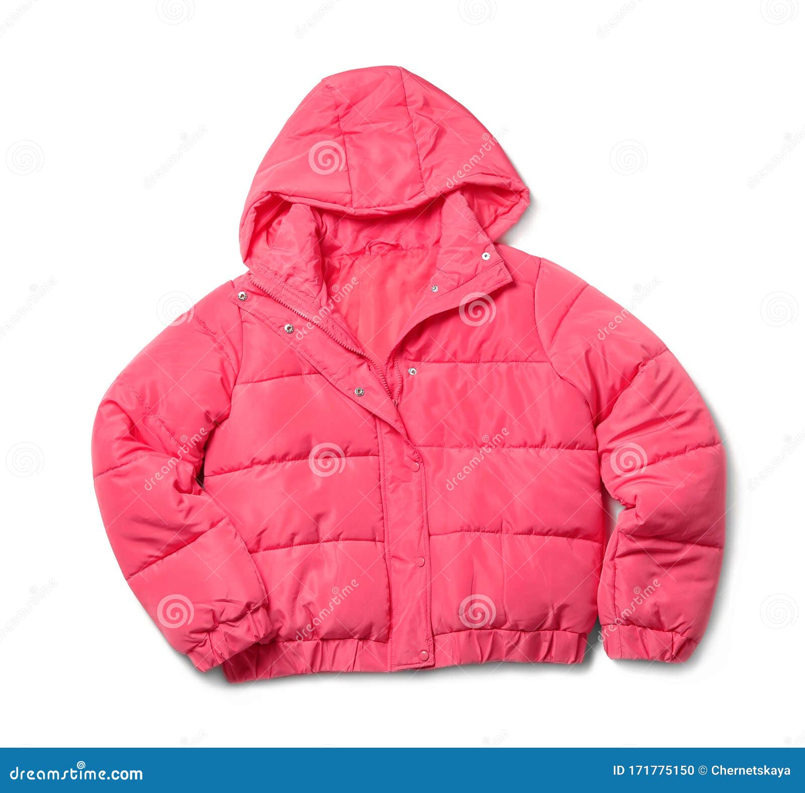 Pink Warm Women`s Jacket Isolated on White Stock Photo - Image of ...