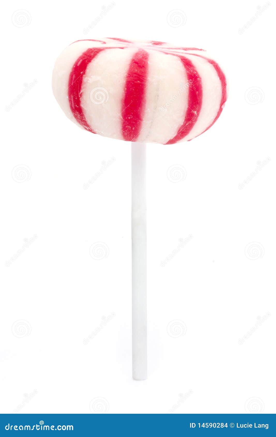 Pink and White Candy Lollipop Stock Photo Image of colorful, macro
