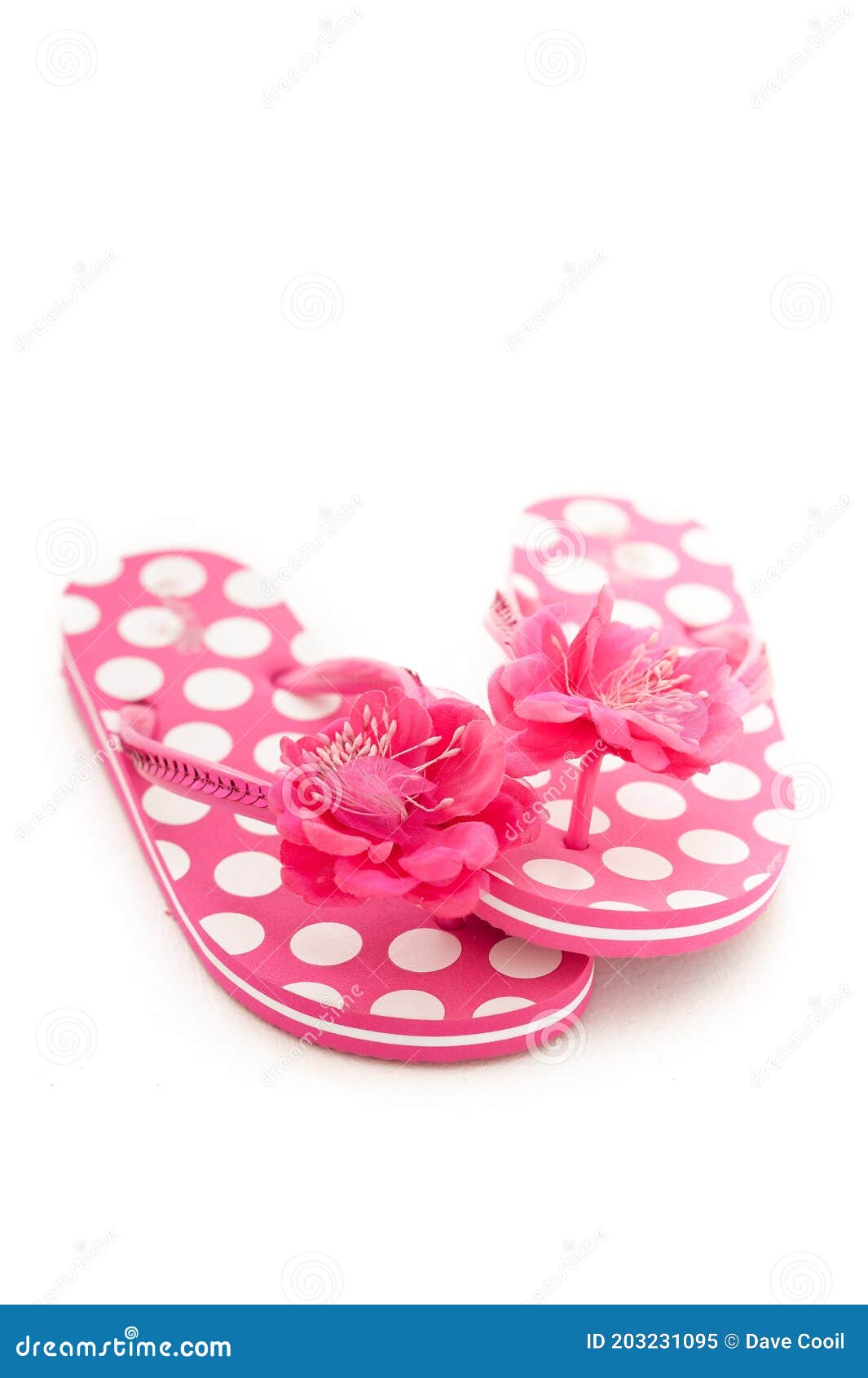 Pink and White Polka Dot Flip Flops Isolated on a White Studio ...