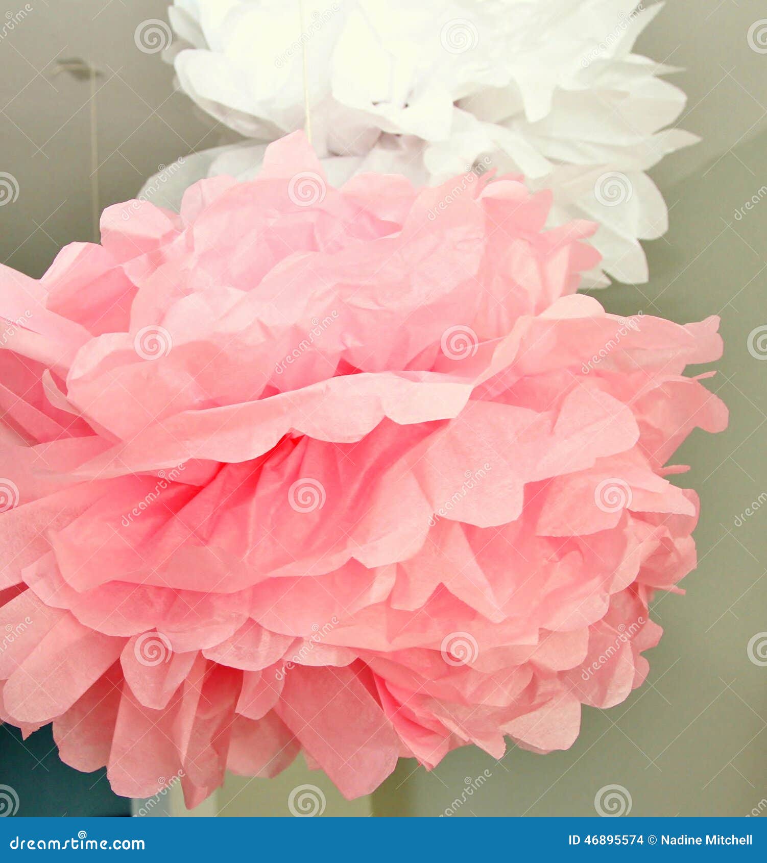 Pink And White Pompoms Hanging From A Ceiling Stock Photo Image