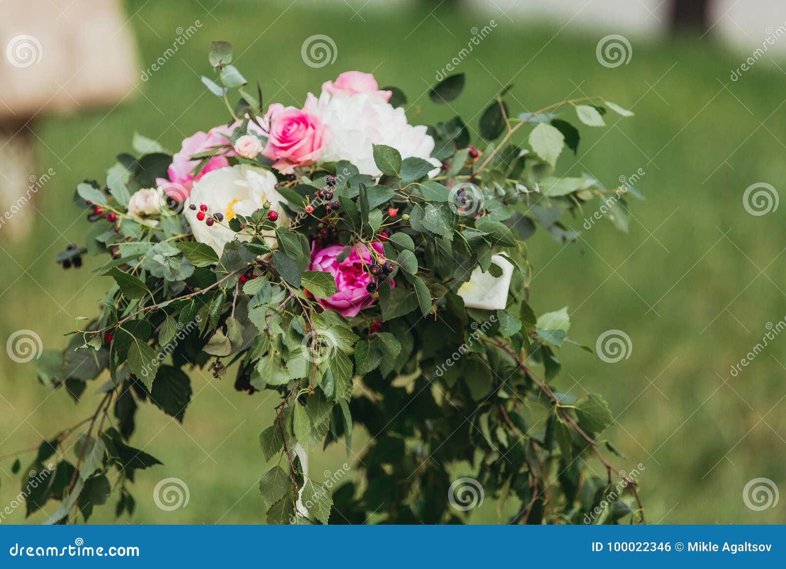 Pink and white roses stock photo. Image of closeup, gift 100022346