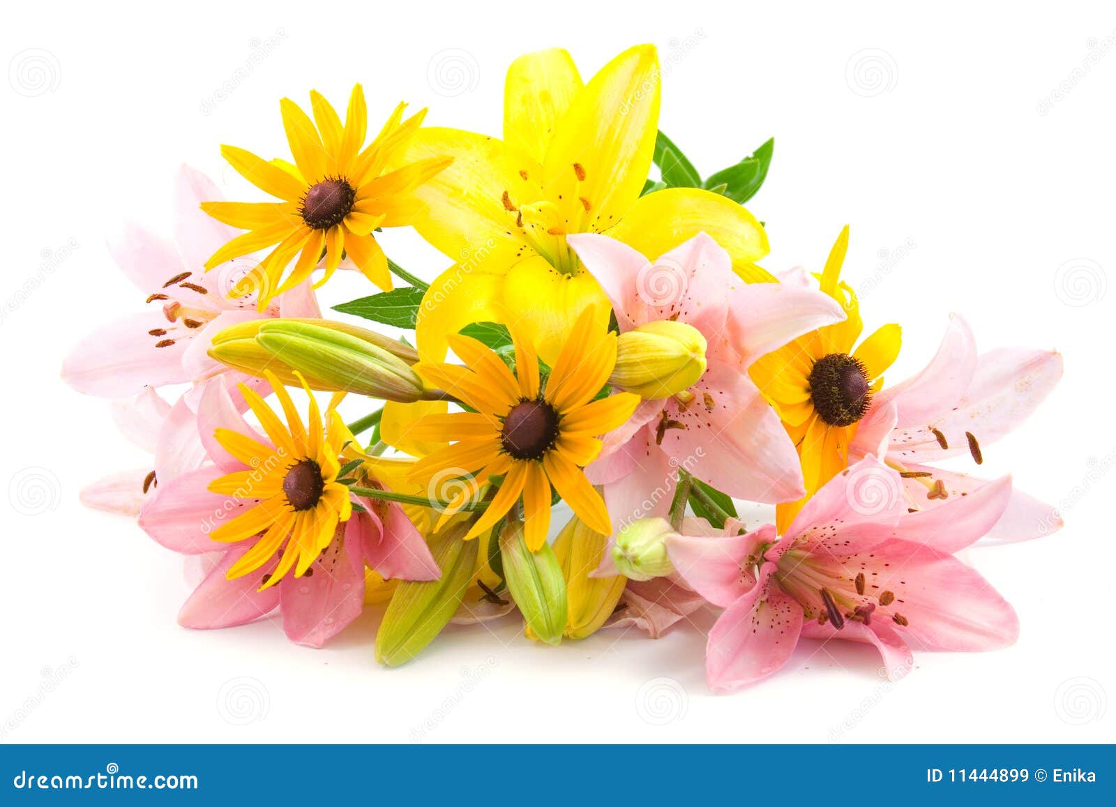 Pink and yellow flowers stock image. Image of white, leaf 11444899