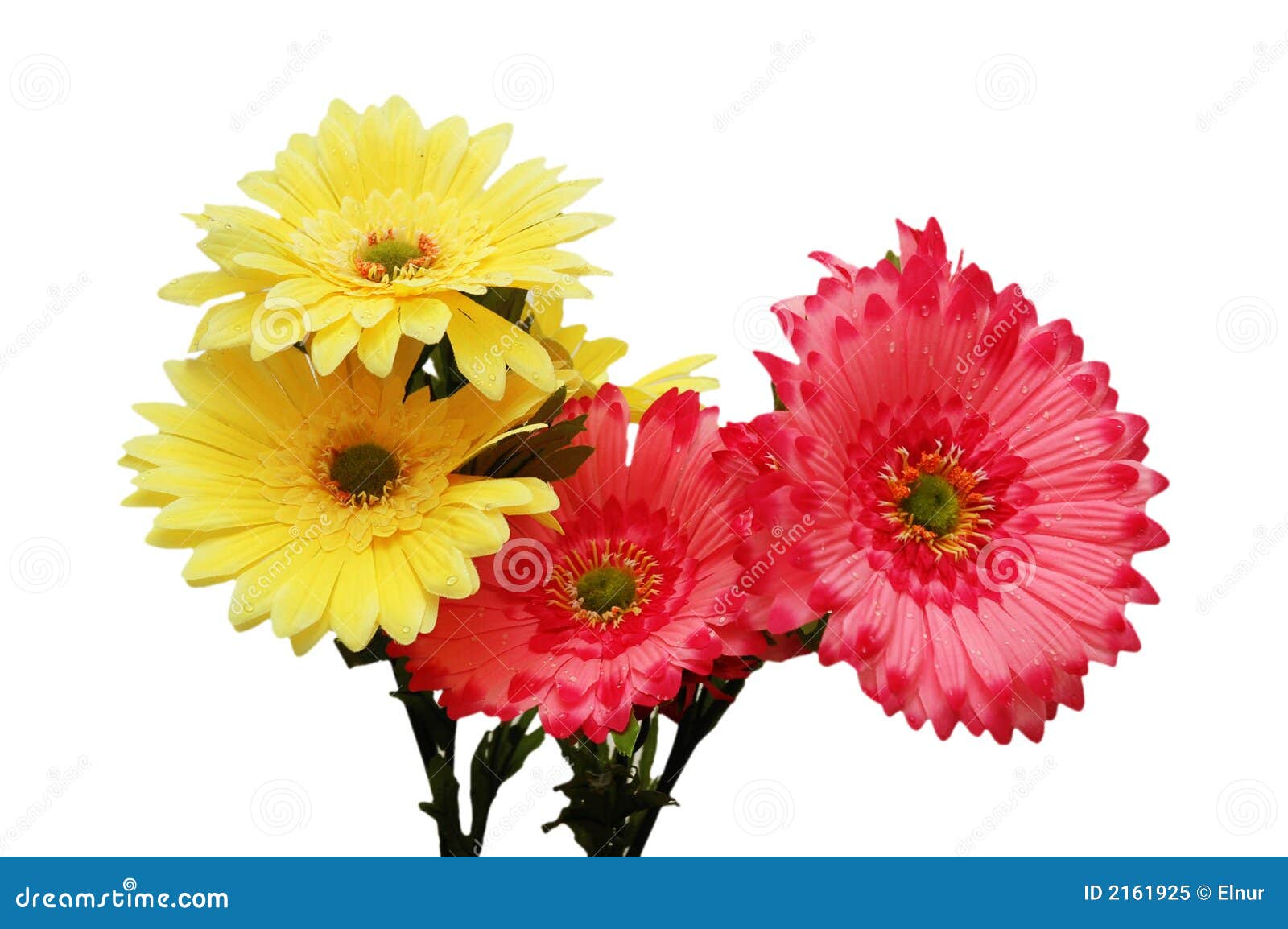 Pink and yellow flowers stock image. Image of colorful 2161925