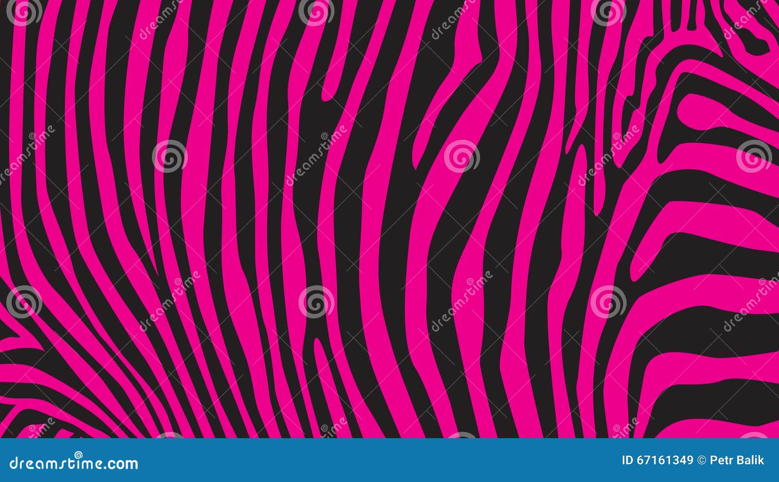 pink zebra stipes pink zebra stipes