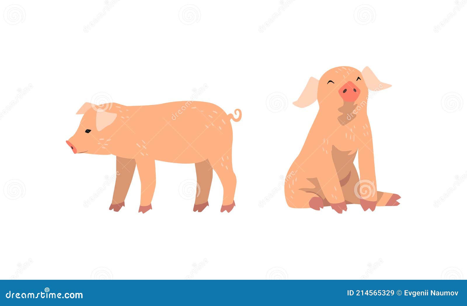 pinky pig as domestic animal with long snout and hoofed toes  set