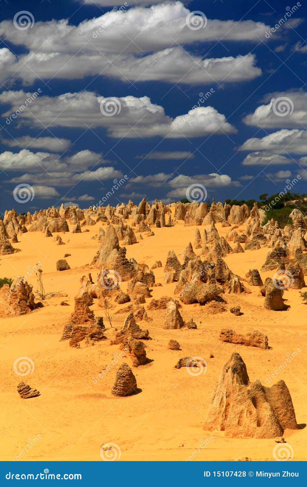 pinnacles desert