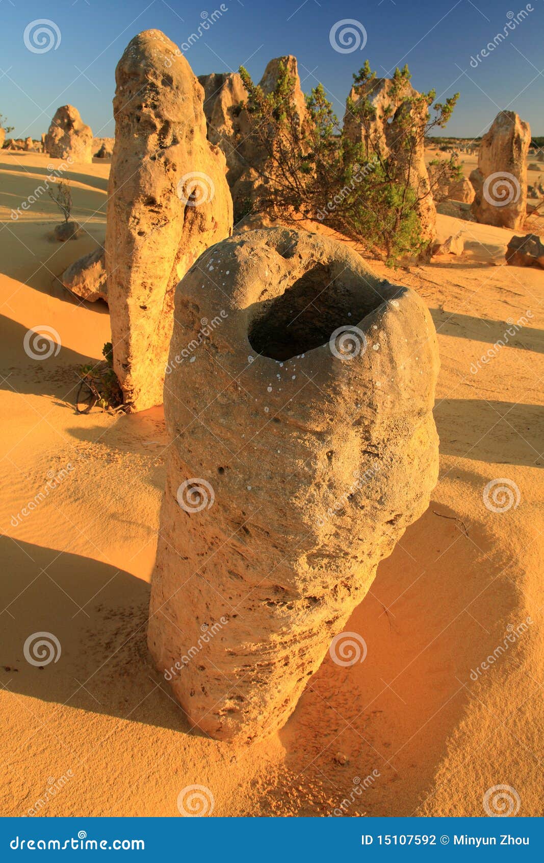 pinnacles desert,west australia