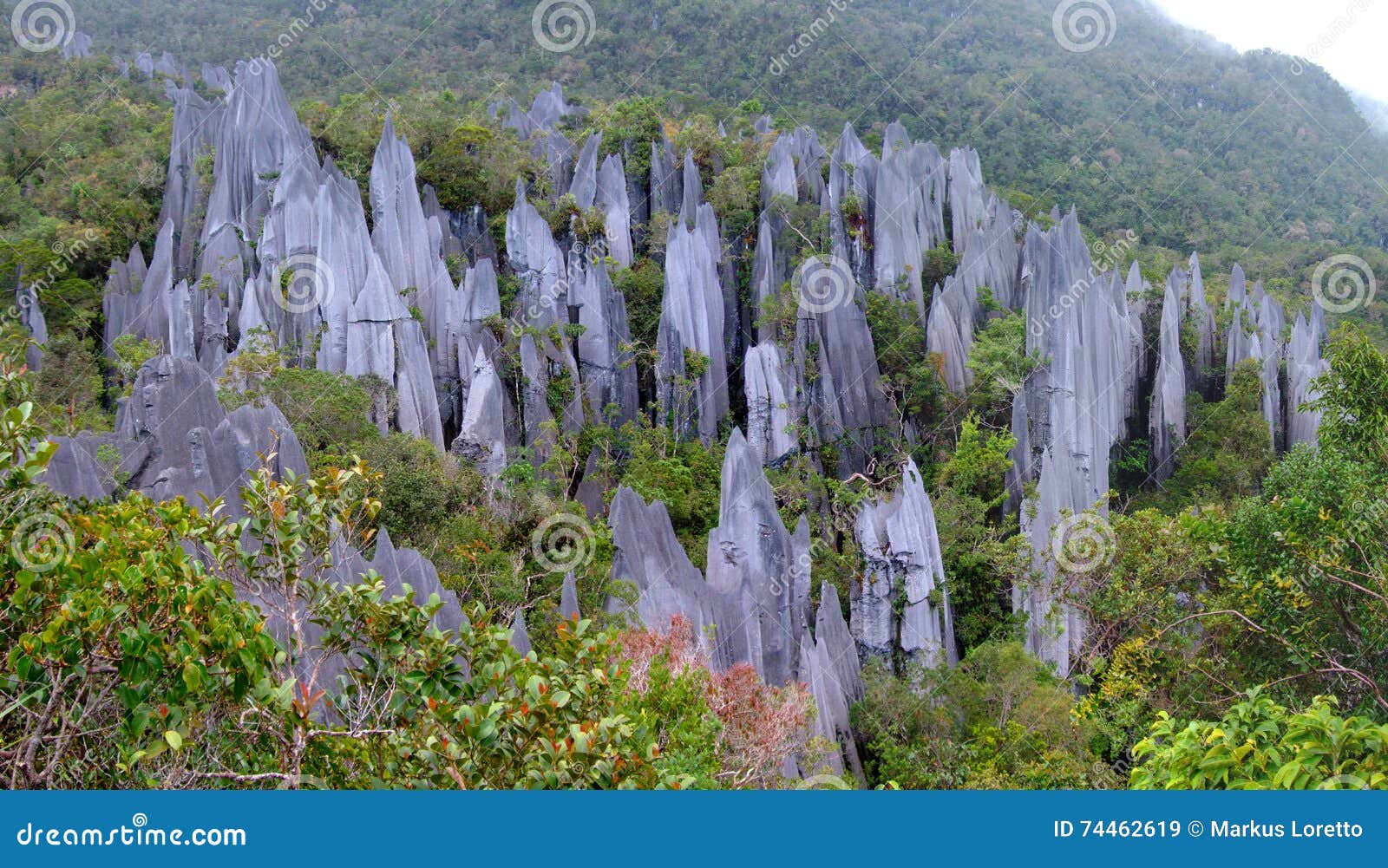 pinnacles, gunung mulu, borneo, malaysia