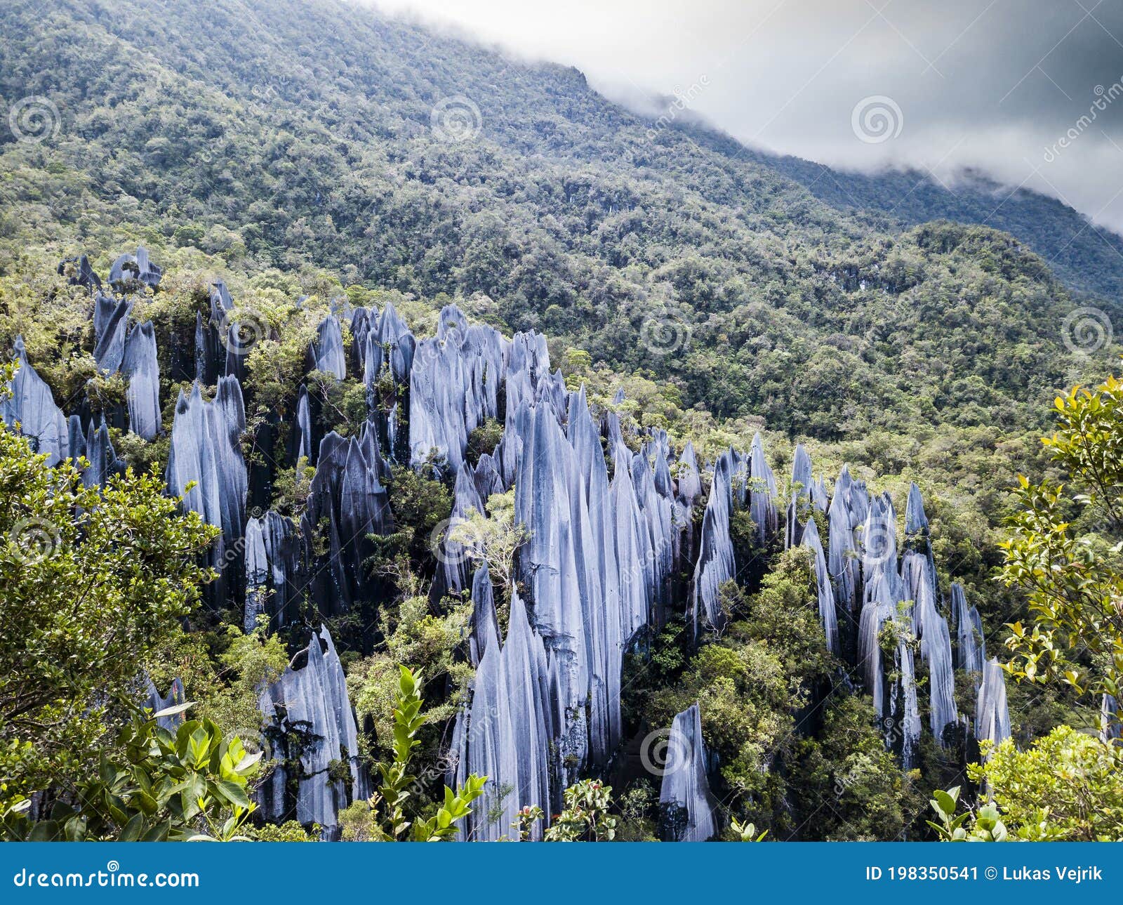 pinnacles in gunung mulu national park borneo malasia.