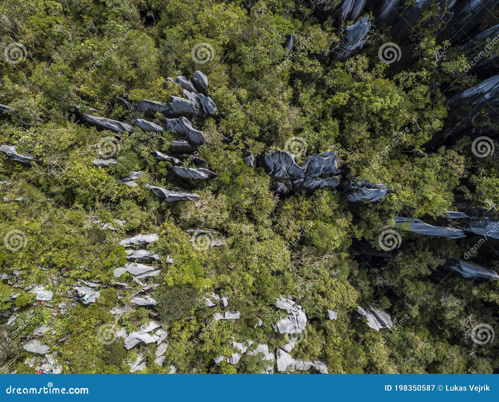 pinnacles in gunung mulu national park borneo malasia.