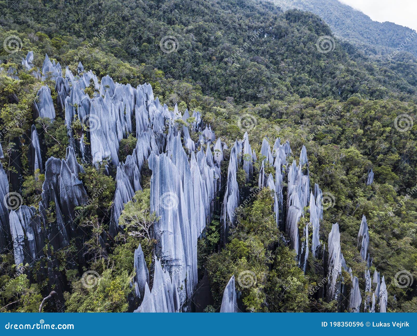 pinnacles in gunung mulu national park borneo malasia.