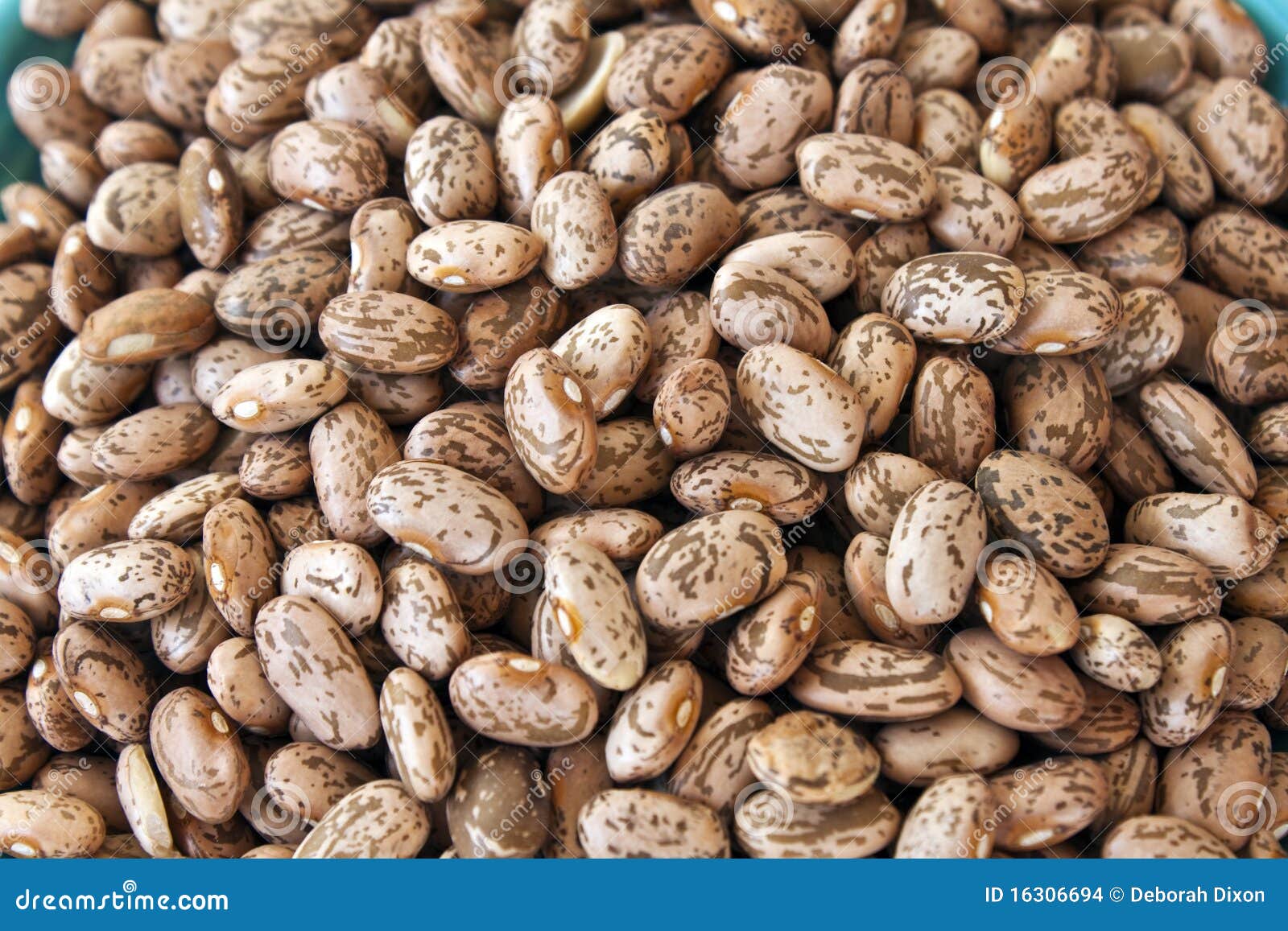 Pinto Beans stock photo. Image of protein, healthy, pinto 16306694