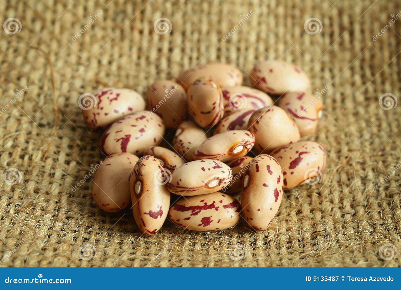 Pinto beans stock image. Image of canvas, crop, fiber 9133487