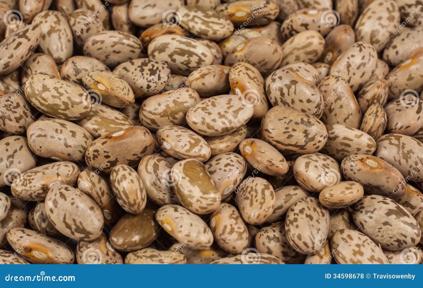 Pinto beans stock photo. Image of nutrition, nature, dried 34598678