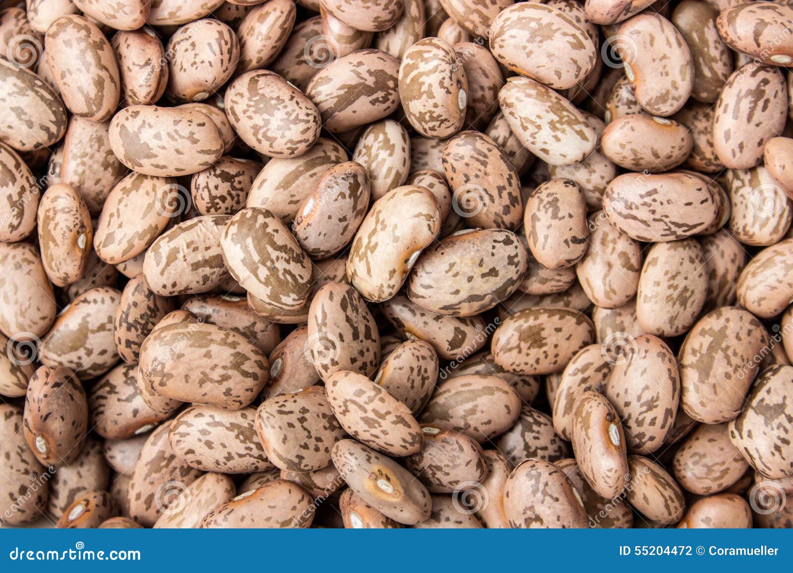 Pinto beans stock photo. Image of brown, rich, legumes 55204472