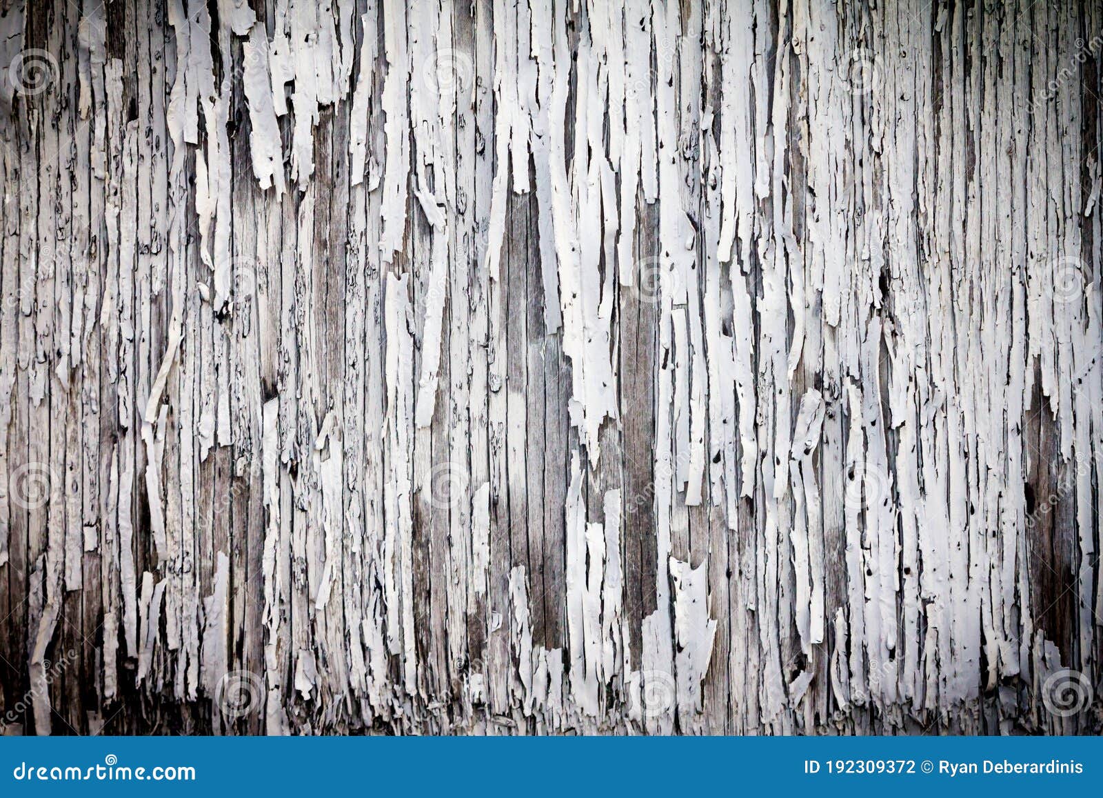 Una pared de madera con pintura blanca que tiene una textura de madera.