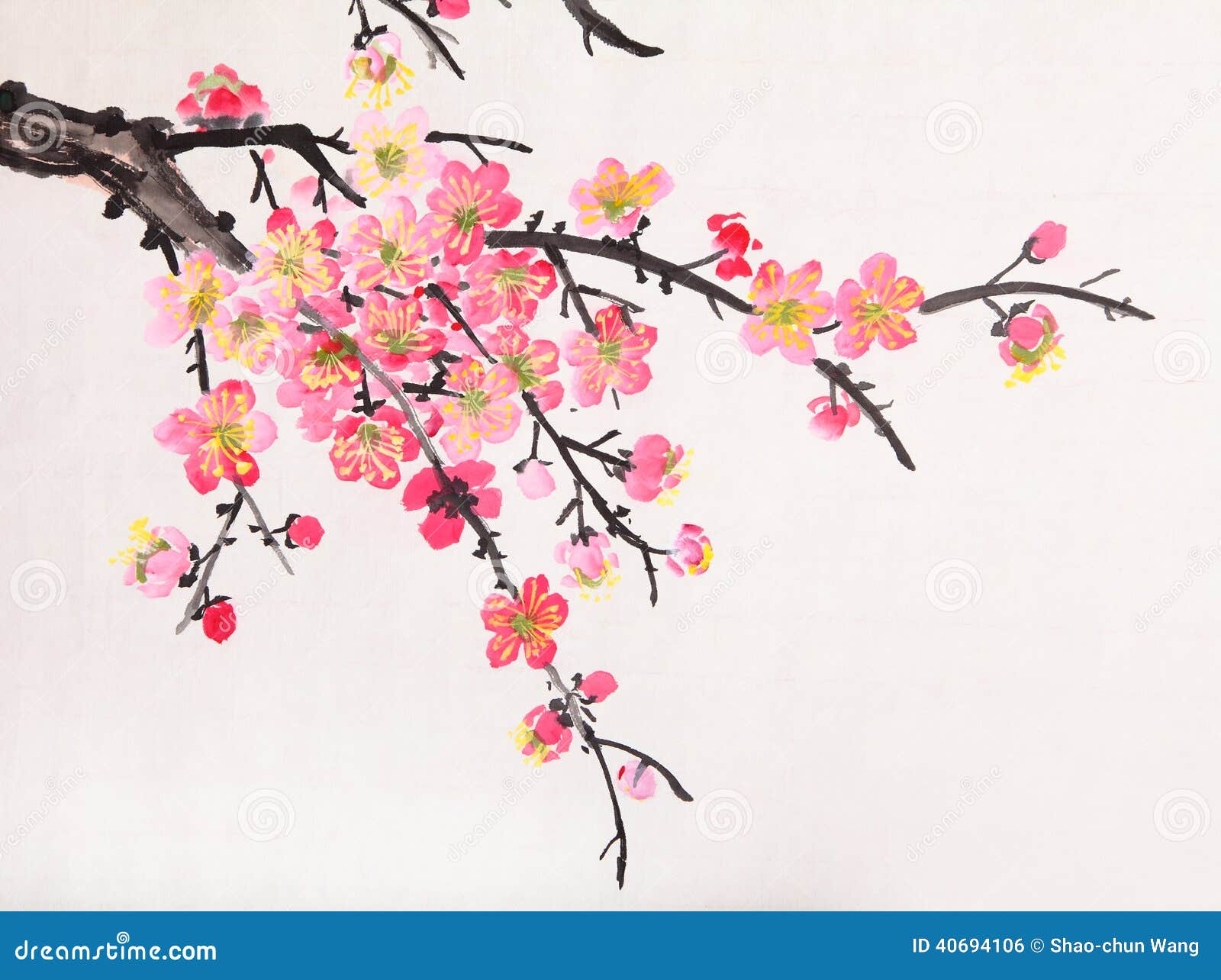 Pintura China De Flores, Flor Del Ciruelo Foto de archivo - Imagen de  oriente, prospere: 40694106