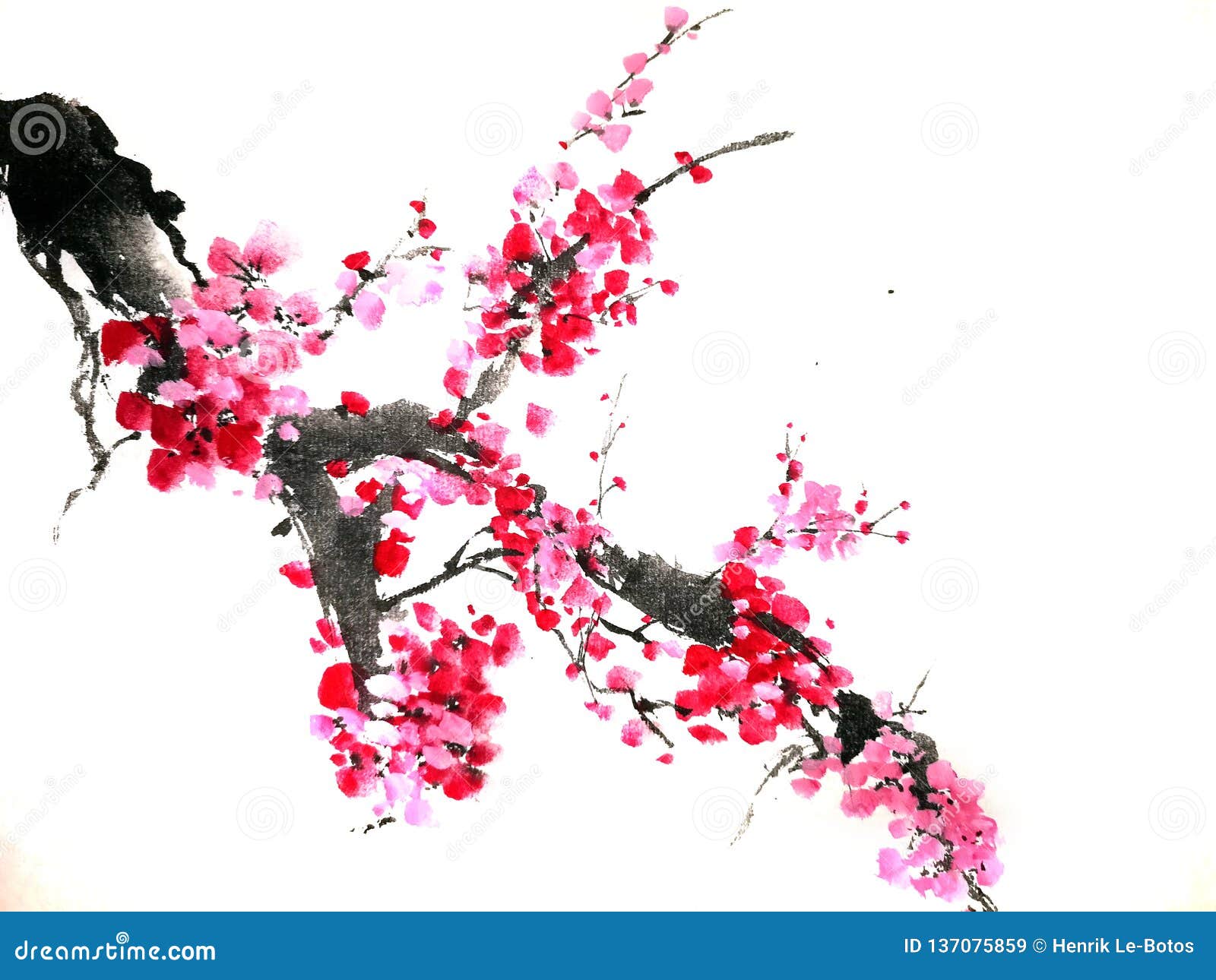 Pintura China Japonesa De La Tinta De Una Flor De Stock de ilustración - Ilustración de colores, fondo: 137075859