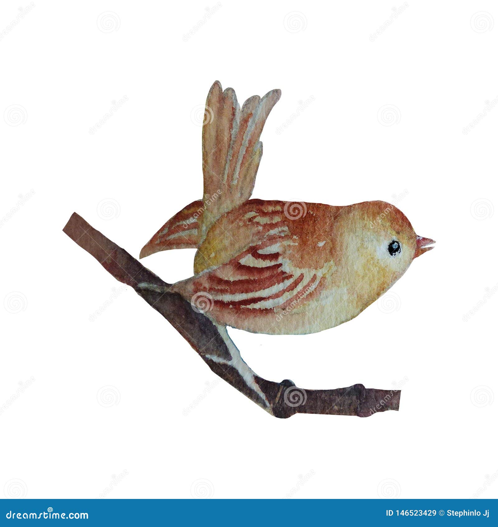 Pintura De Color Pájaro Dibujos De Animales Lindos Pintados a Mano Color  Agua Stock de ilustración - Ilustración de poultry, granja: 146523429