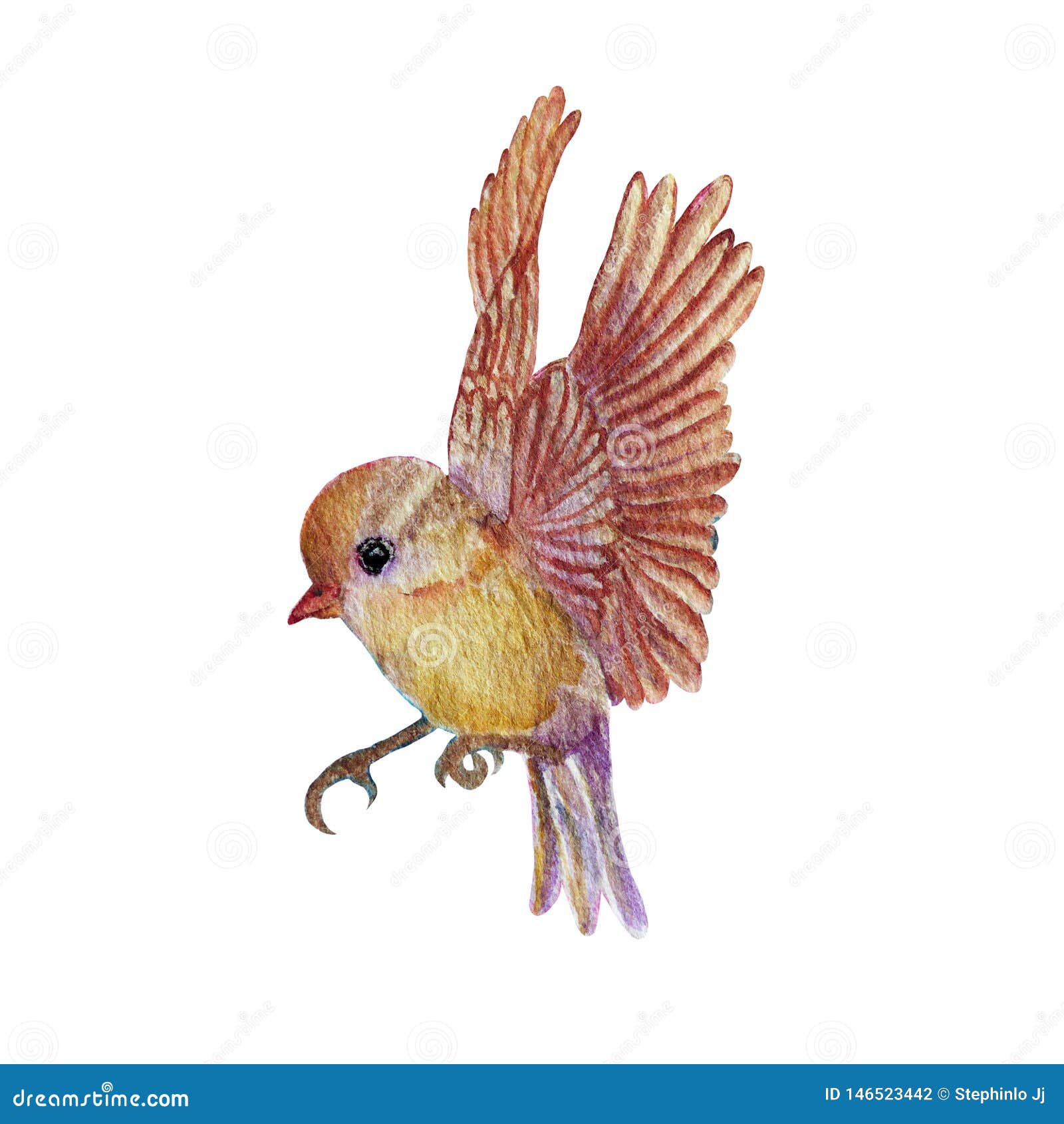 Pintura De Color Pájaro Dibujos De Animales Lindos Pintados a Mano Color Agua Stock de ilustración - Ilustración de ilustraciones, pintado: 146523442 Pintura De Color Pájaro Dibujos De Animales Lindos Pintados a Mano Color Agua Stock de ilustración - Ilustración de ilustraciones, pintado: 146523442