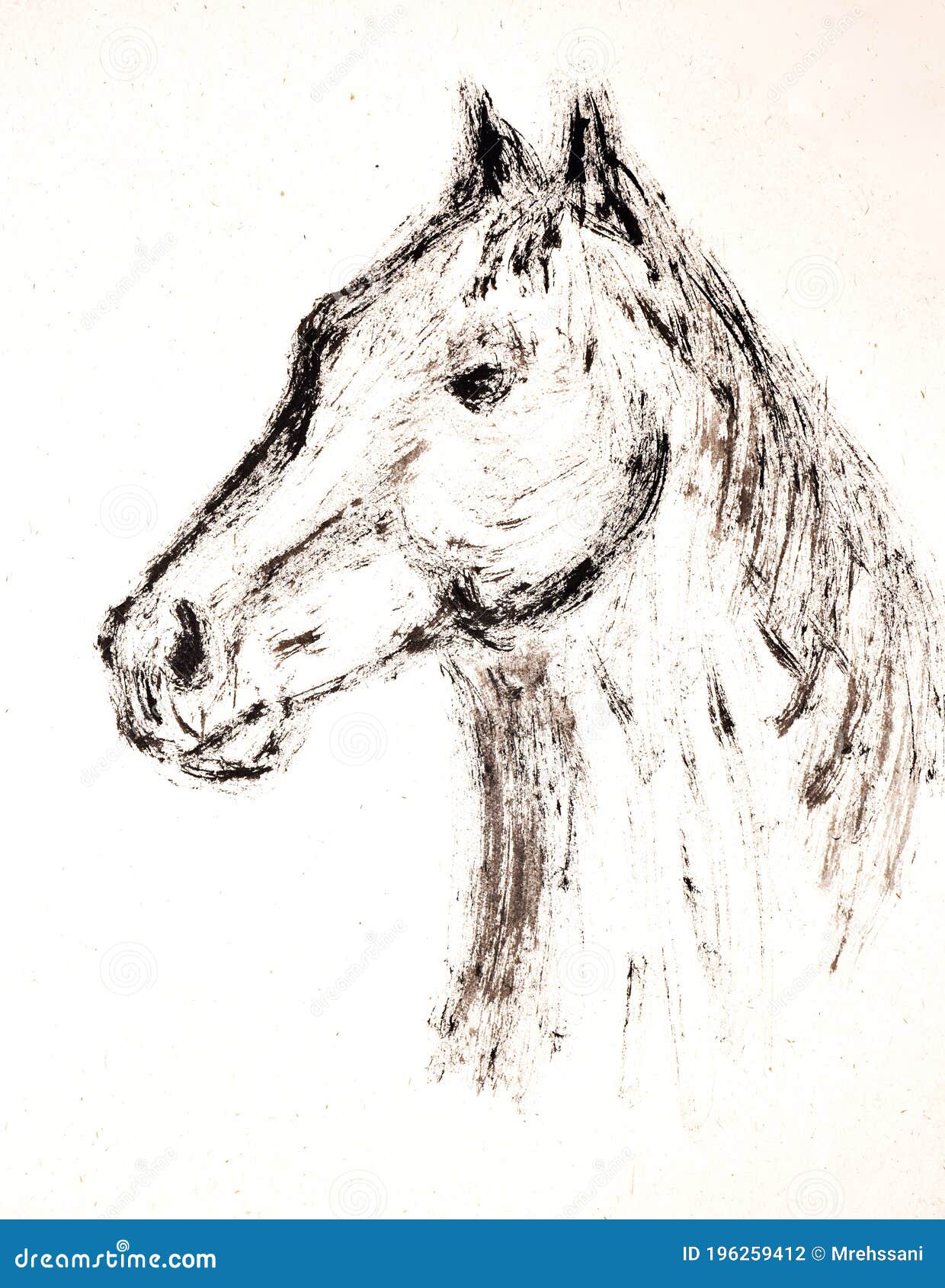 Pintura De Retrato De Caballo Con Pincel Seco Y Tinta Stock de