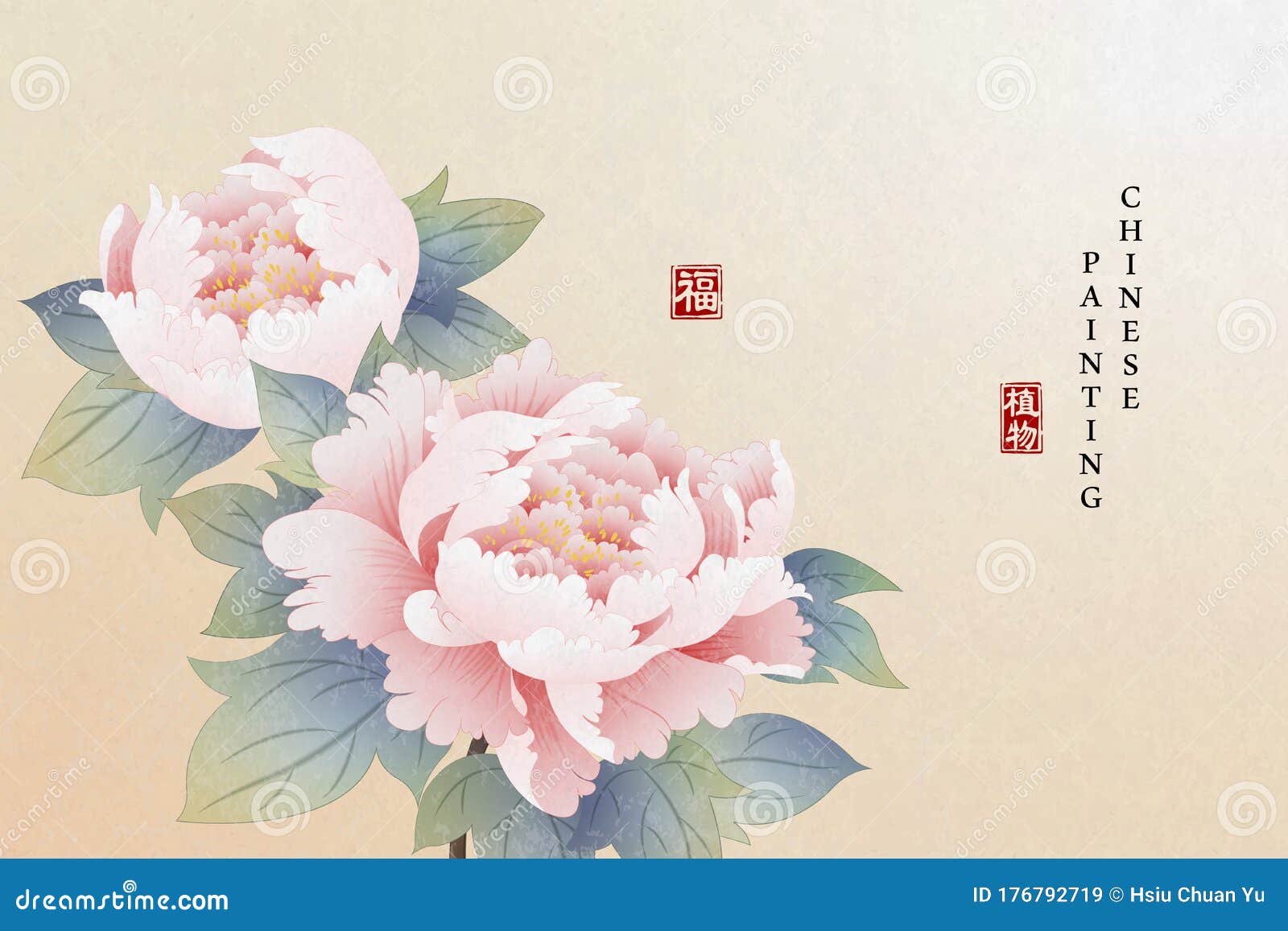 Pintura De Tinta China Fondo Planta De Fondo Elegante Flor Peonia.  Traducción China : Planta Y Bendición Ilustración del Vector - Ilustración  de arte, sello: 176792719