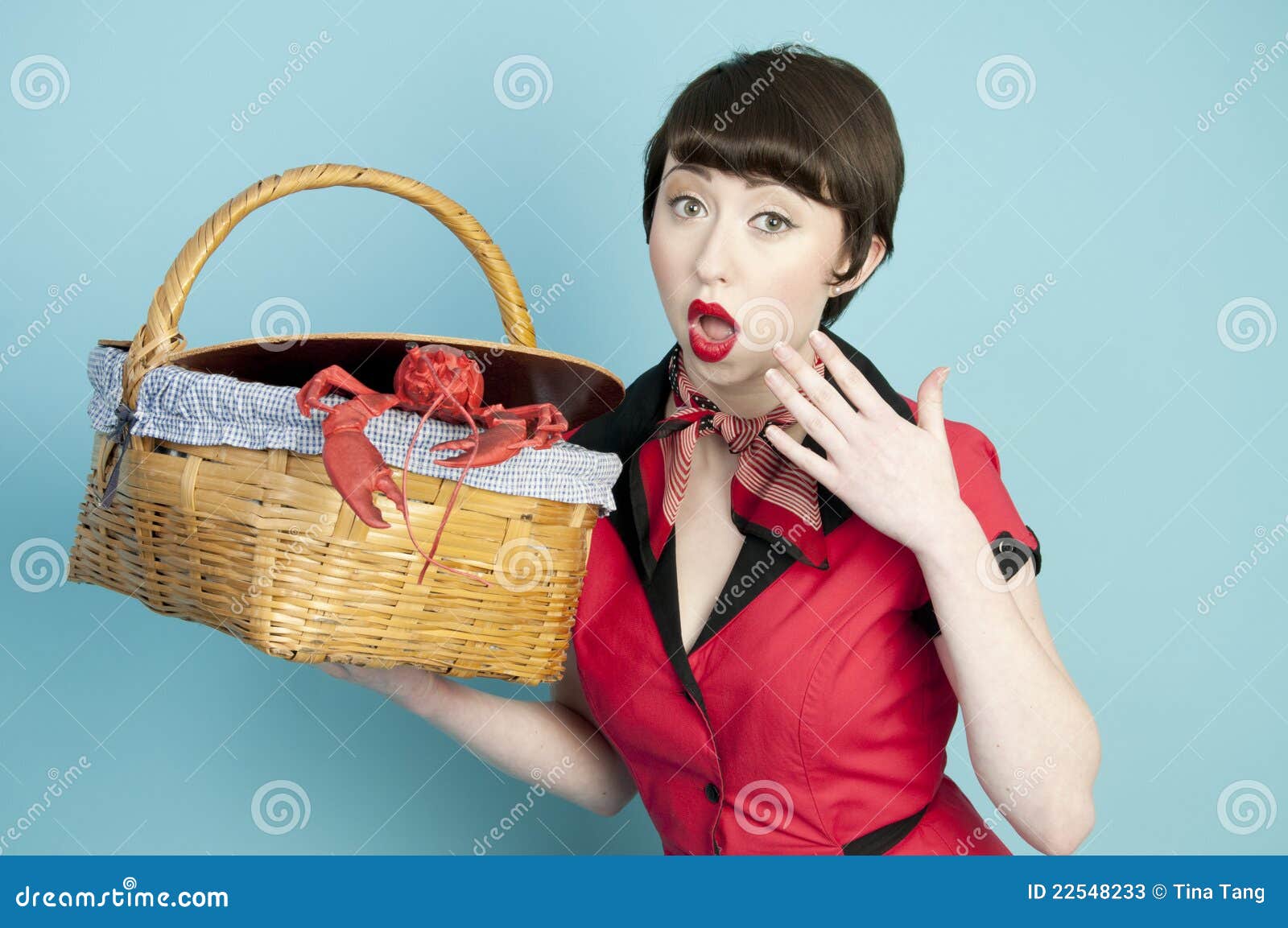 Pinup Lobster stock image. Image of funny, woman, surprise 22548233
