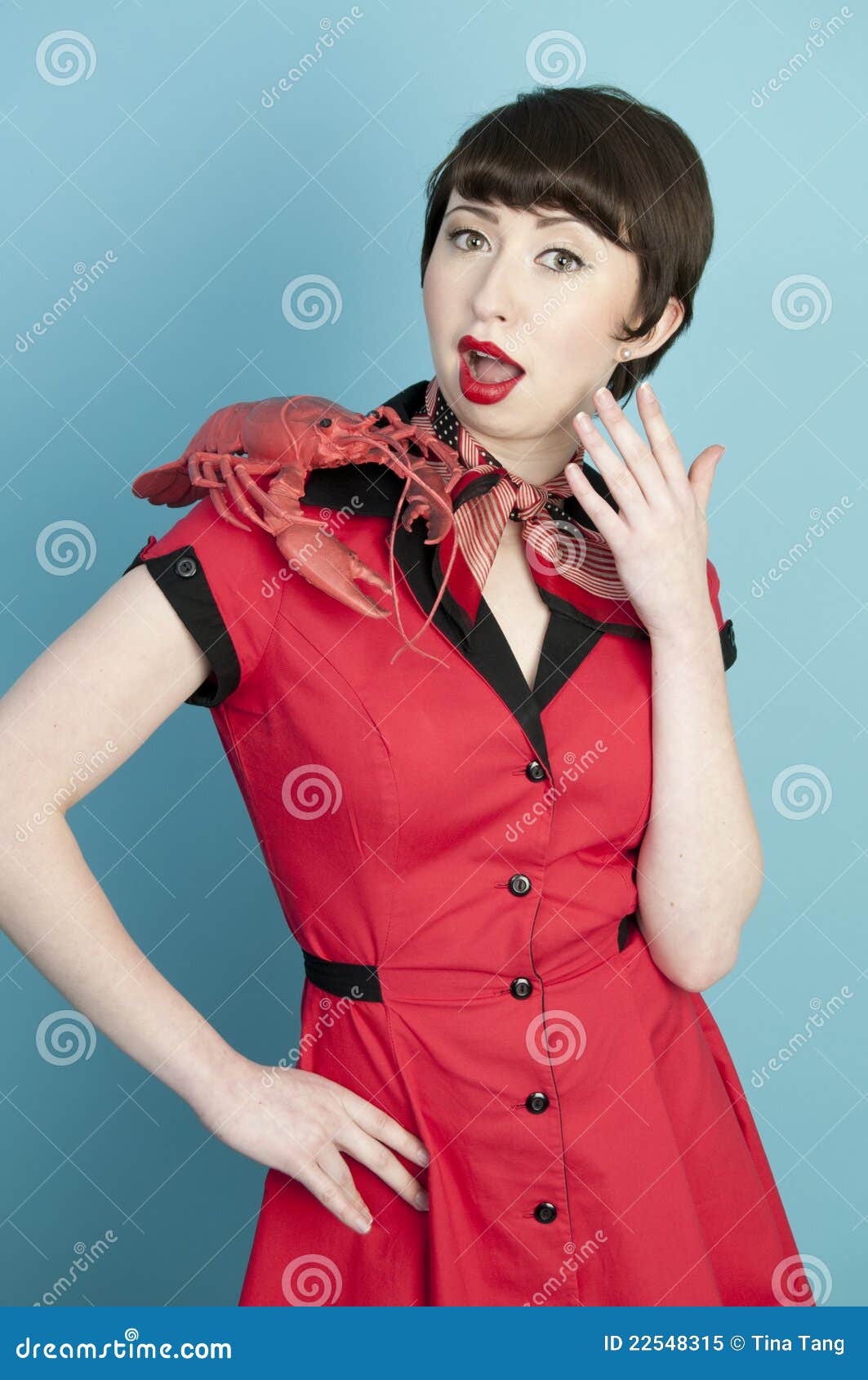 Pinup Lobster stock image. Image of cute, model, surprise 22548315
