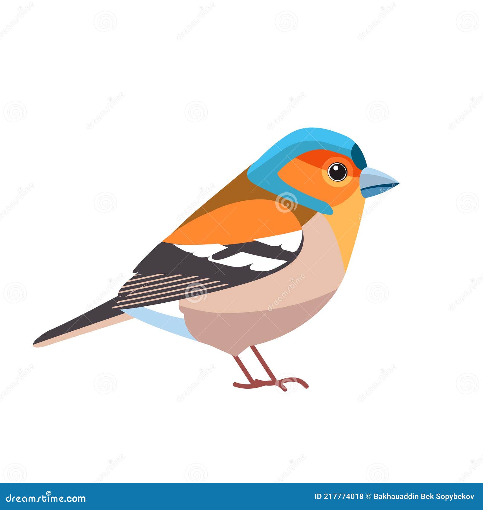 Pinzón. Nombre Científico : Fringilla Coelebs. Pajarito Común En El Pinzón Familia Dibujos Animados Estilo Plano Hermoso Ilustración del Vector - Ilustración de hermoso, plano: 217774018 Pinzón. Nombre Científico : Fringilla Coelebs. Pajarito Común En El Pinzón Familia Dibujos Animados Estilo Plano Hermoso Ilustración del Vector - Ilustración de hermoso, plano: 217774018