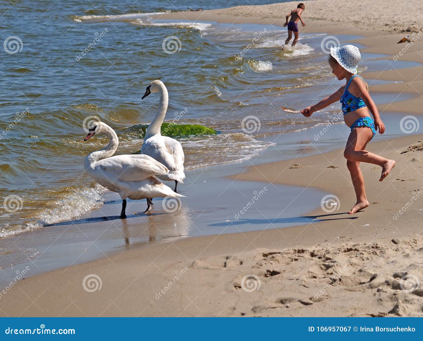 PIONEIRO, RÚSSIA Os Jogos Da Menina Com Cisne Fotografia Editorial - Imagem  de jogos, descanso: 106957067