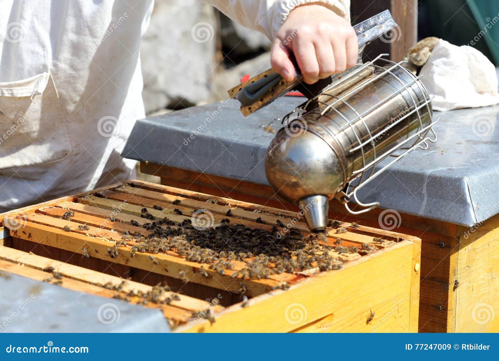 Pipe and bee hive stock image. Image of pipe, organic 77247009