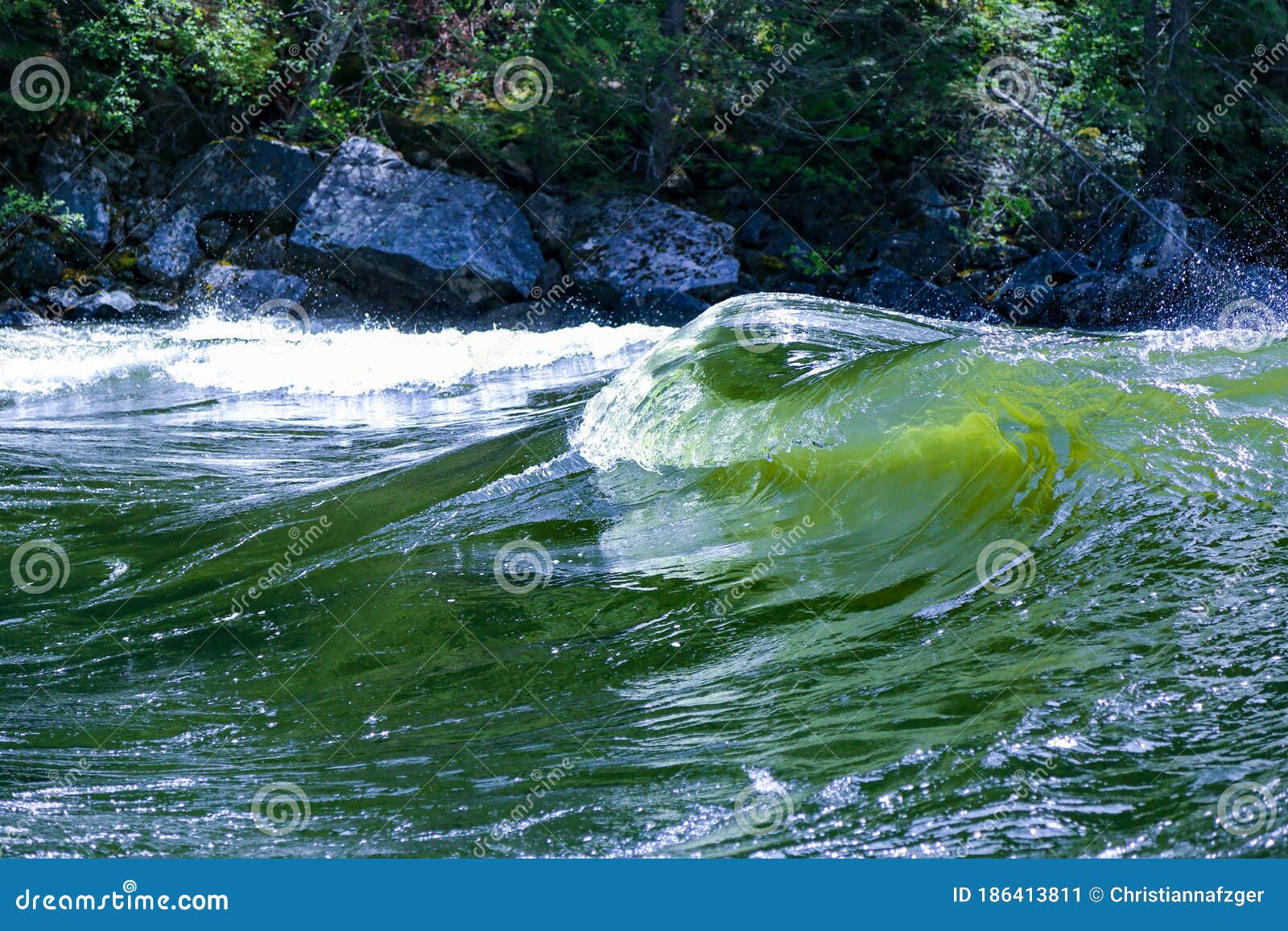 Pipeline Surfing Wave on the Lochsa River, Idaho Stock Image Image of