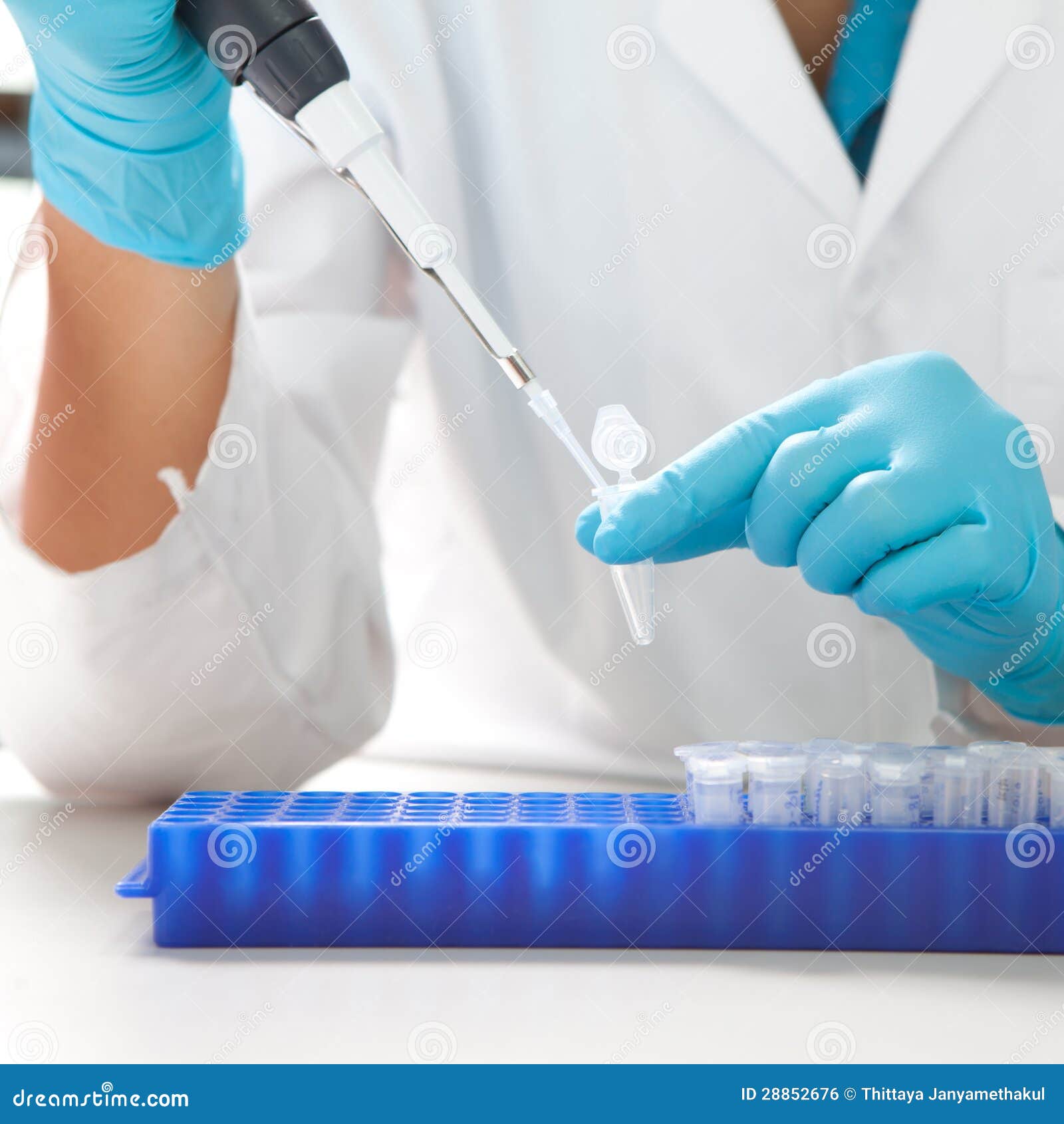 https://thumbs.dreamstime.com/z/pipette-de-micro-de-laboratoire-28852676.jpg