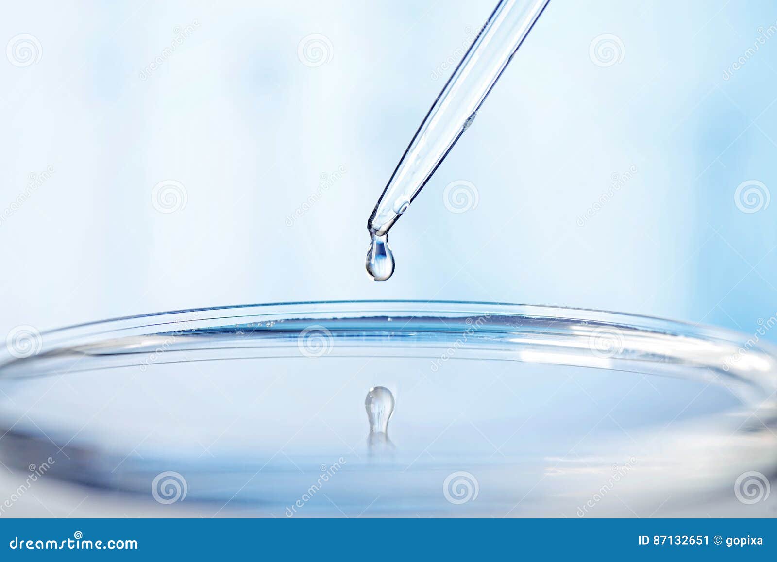 Pipette and Petri Dish in Laboratory Stock Image Image of