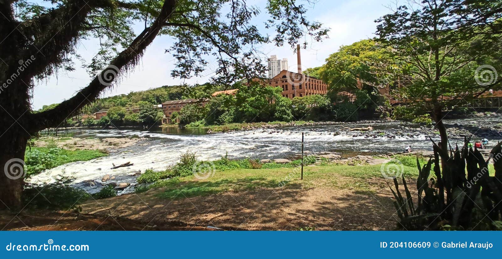 Piracicaba river stock image. Image of waterway, plant 204106609