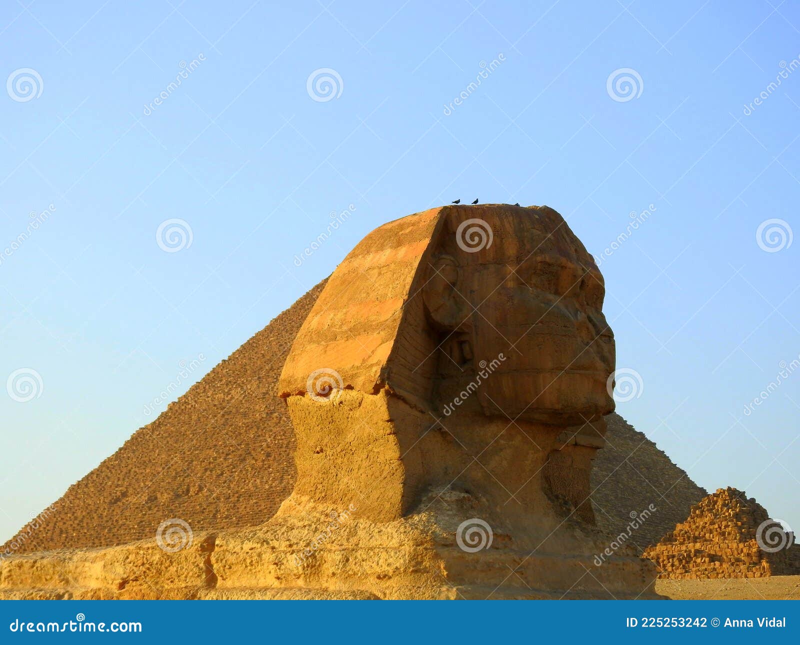 esfinge de guiza. el cairo. egipto.