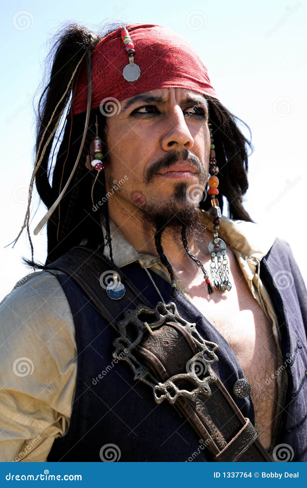 Pirate Captain stock photo. Image of captain, look, alike - 1337764