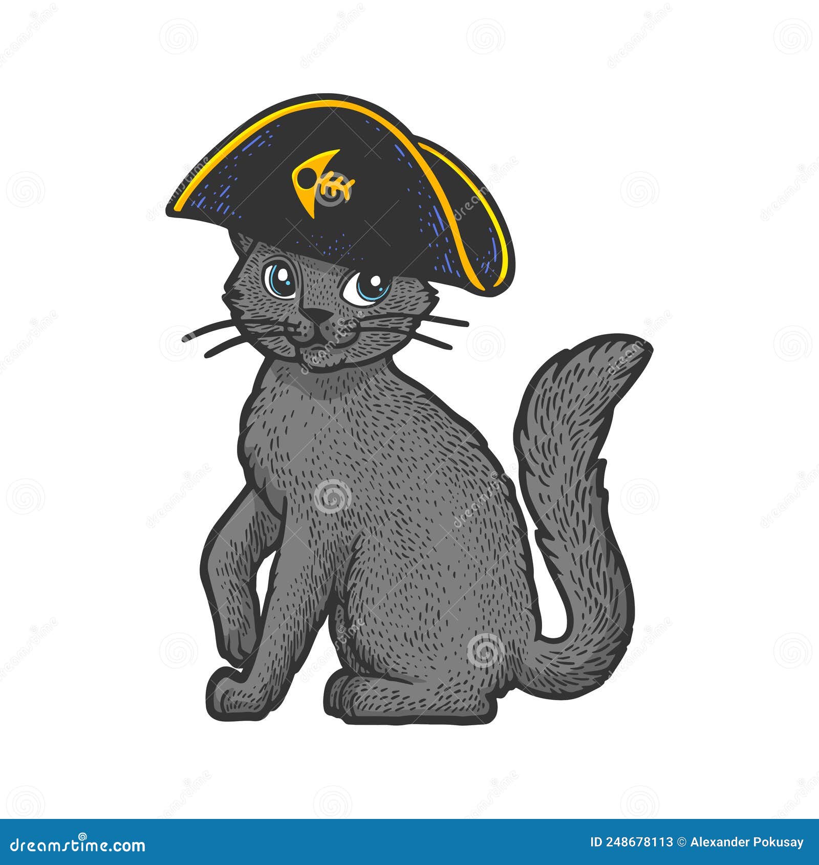 Pirate Cat Character Color Sketch Vector Stock Vector Illustration Of