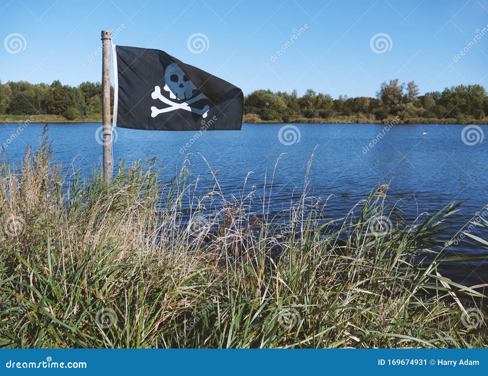 Pirate Flag on the Bank of a River Stock Image Image of island, river