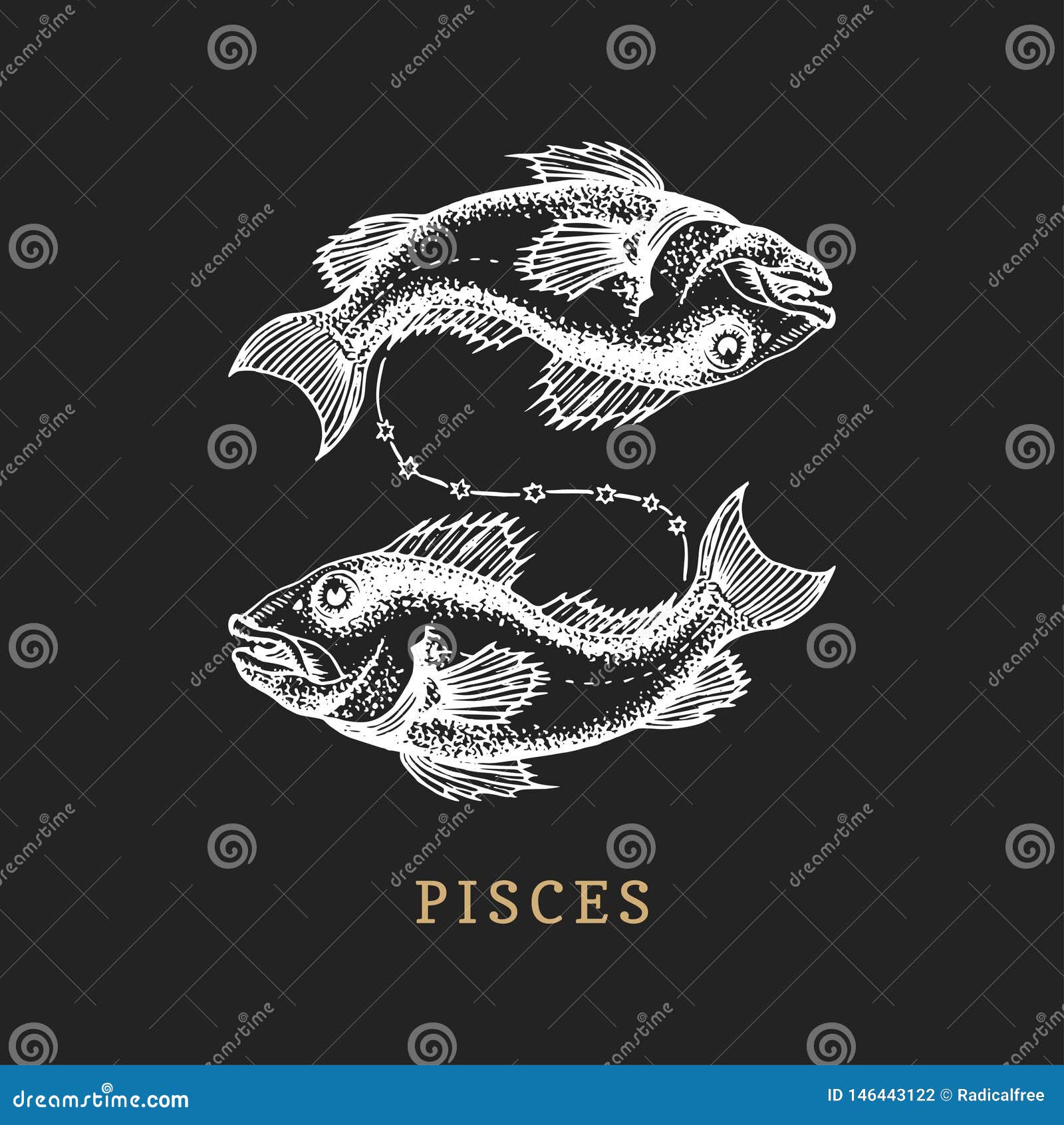 Download Pisces Zodiac Symbol, Hand Drawn In Engraving Style ...