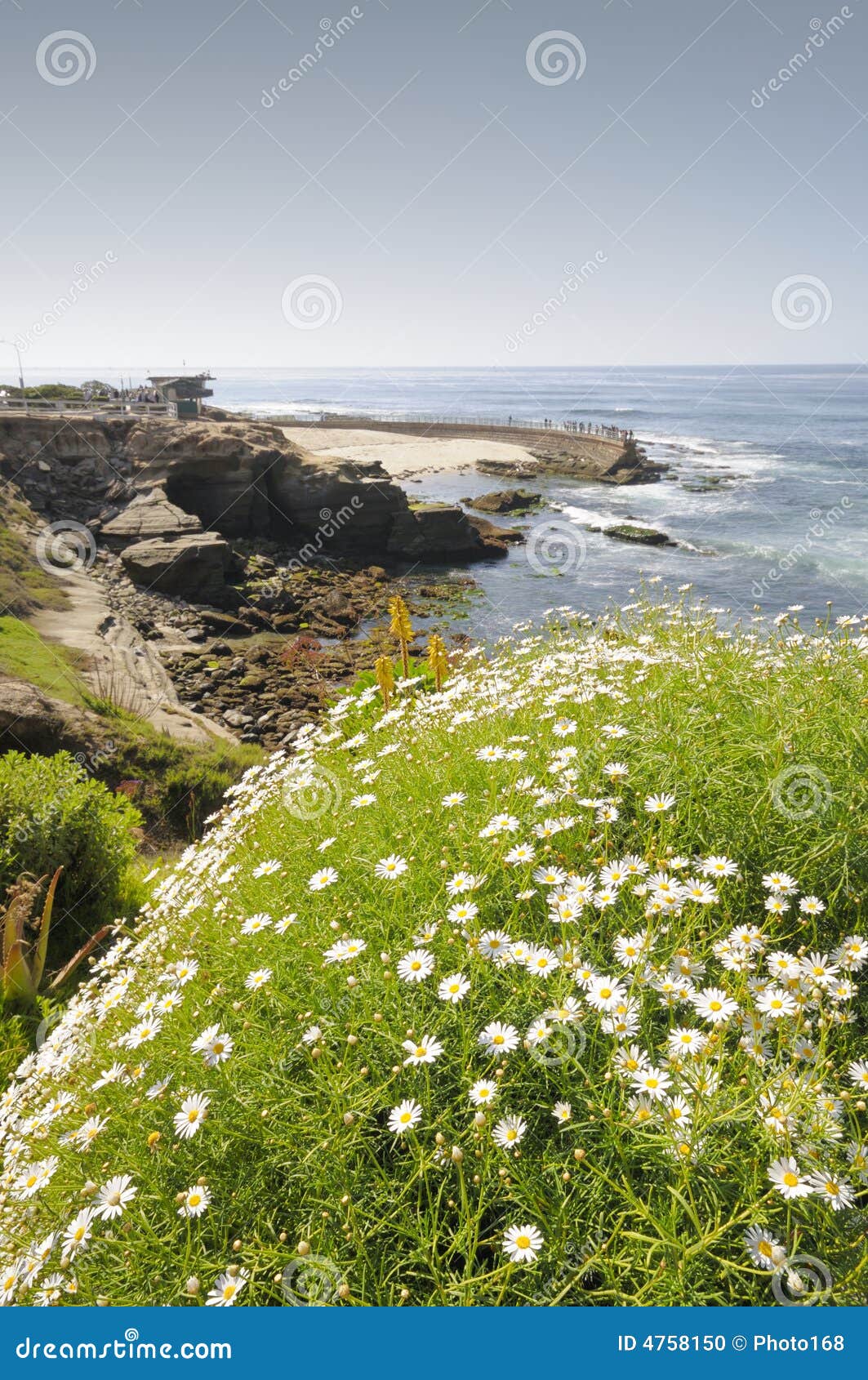 Piscina De La Marea En La Playa De La Jolla Foto de archivo Imagen de