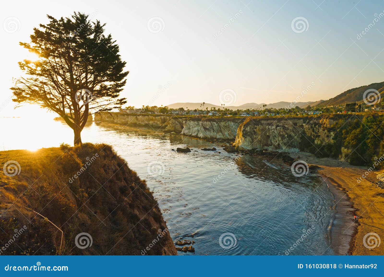 Pismo Beach Seaside Cliffs and Pine Tree at Sunset Stock Photo Image
