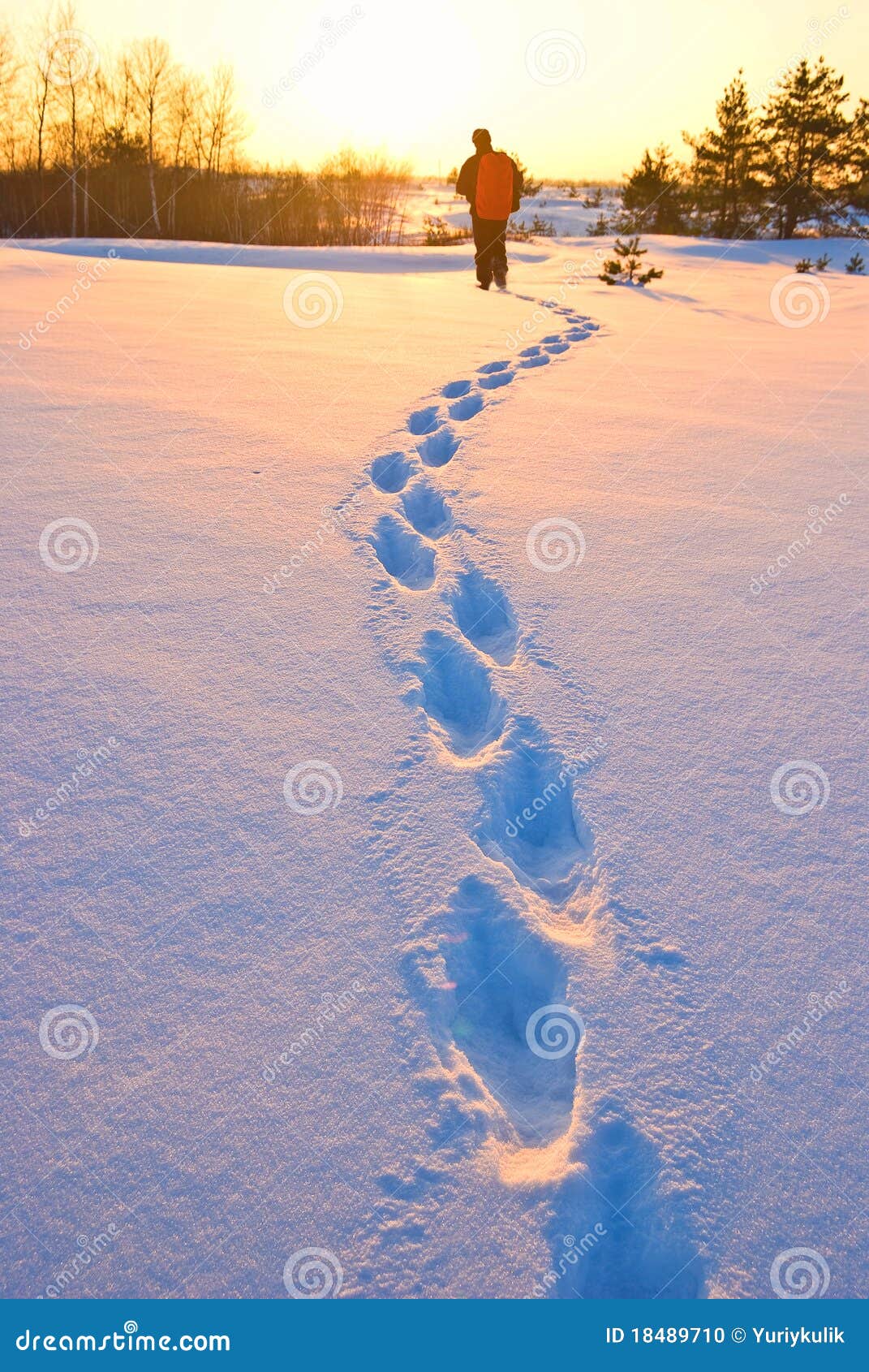 Pista del caminante en un llano del invierno en la puesta del sol