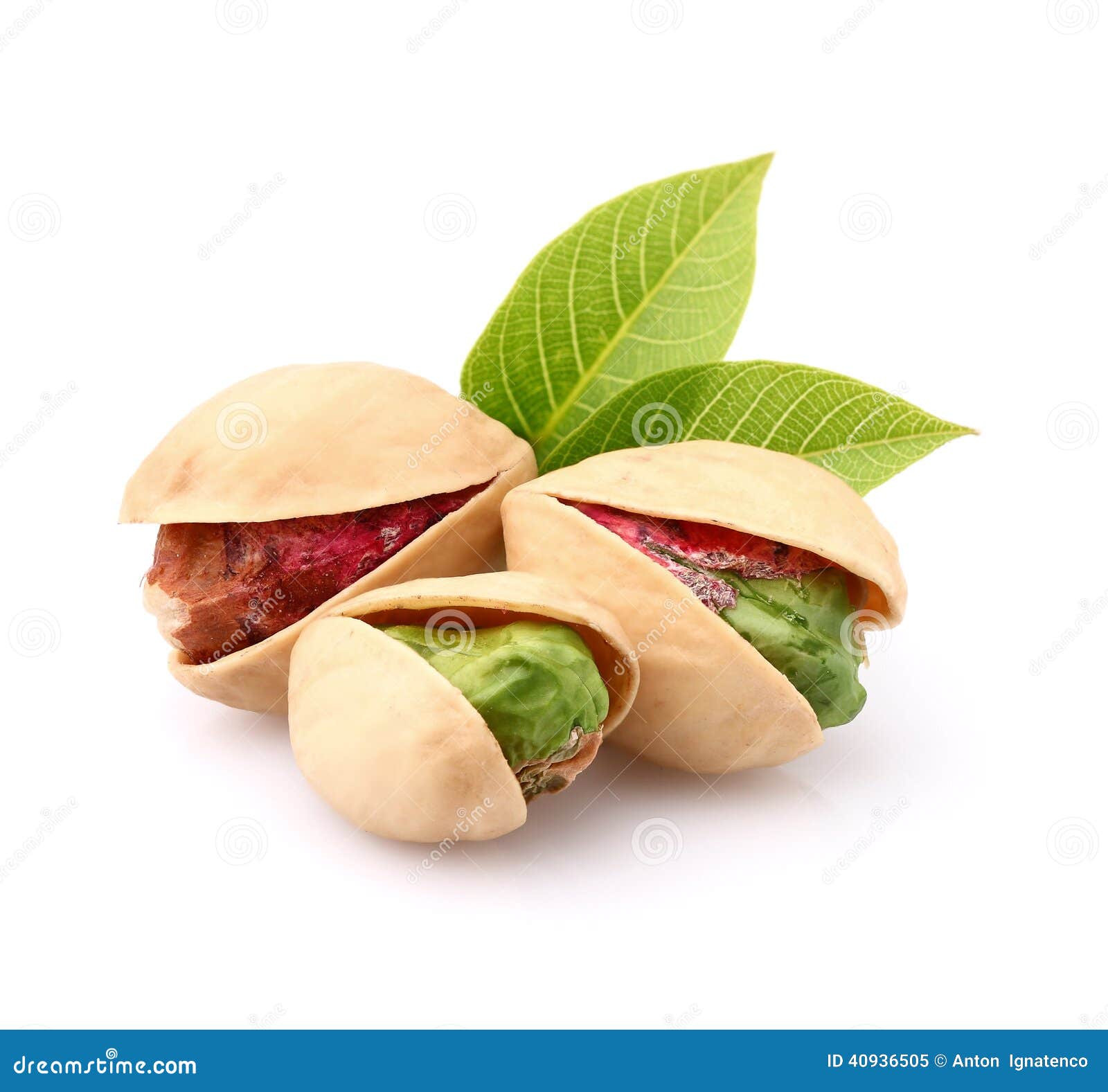 Pistachio nuts with leaves stock image. Image of nuts 40936505
