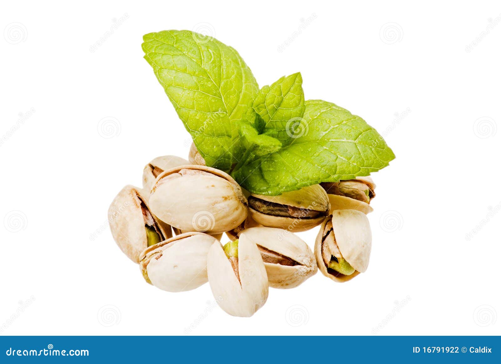 Pistachios and fresh mint stock photo. Image of snack 16791922